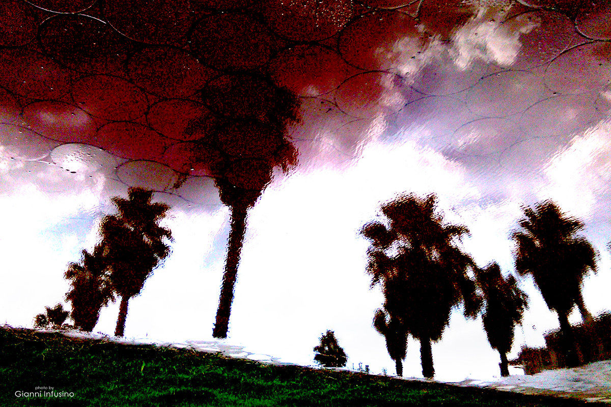 Riflessi in acqua(rello)