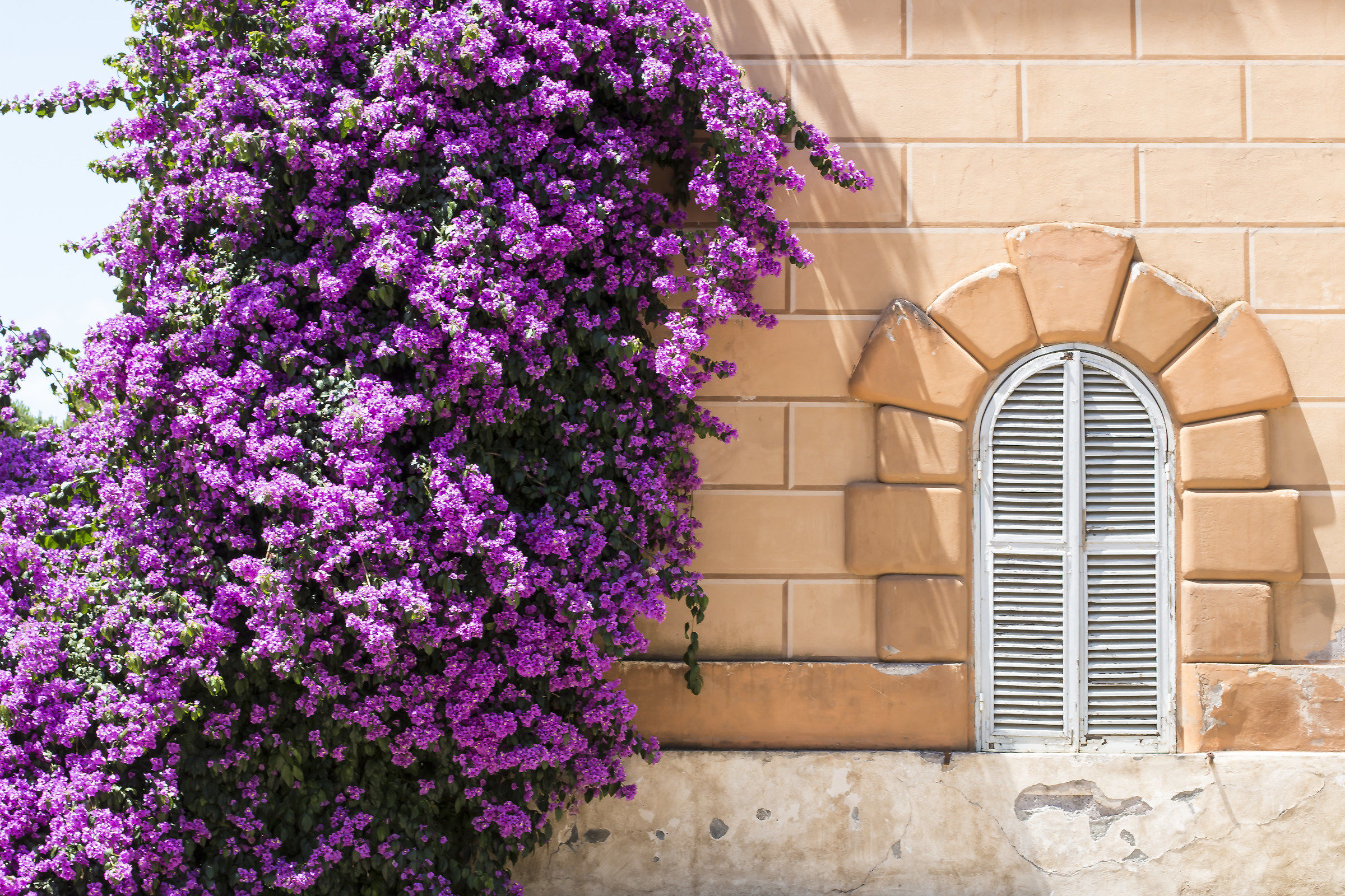 Glimpse of Villa Borghese