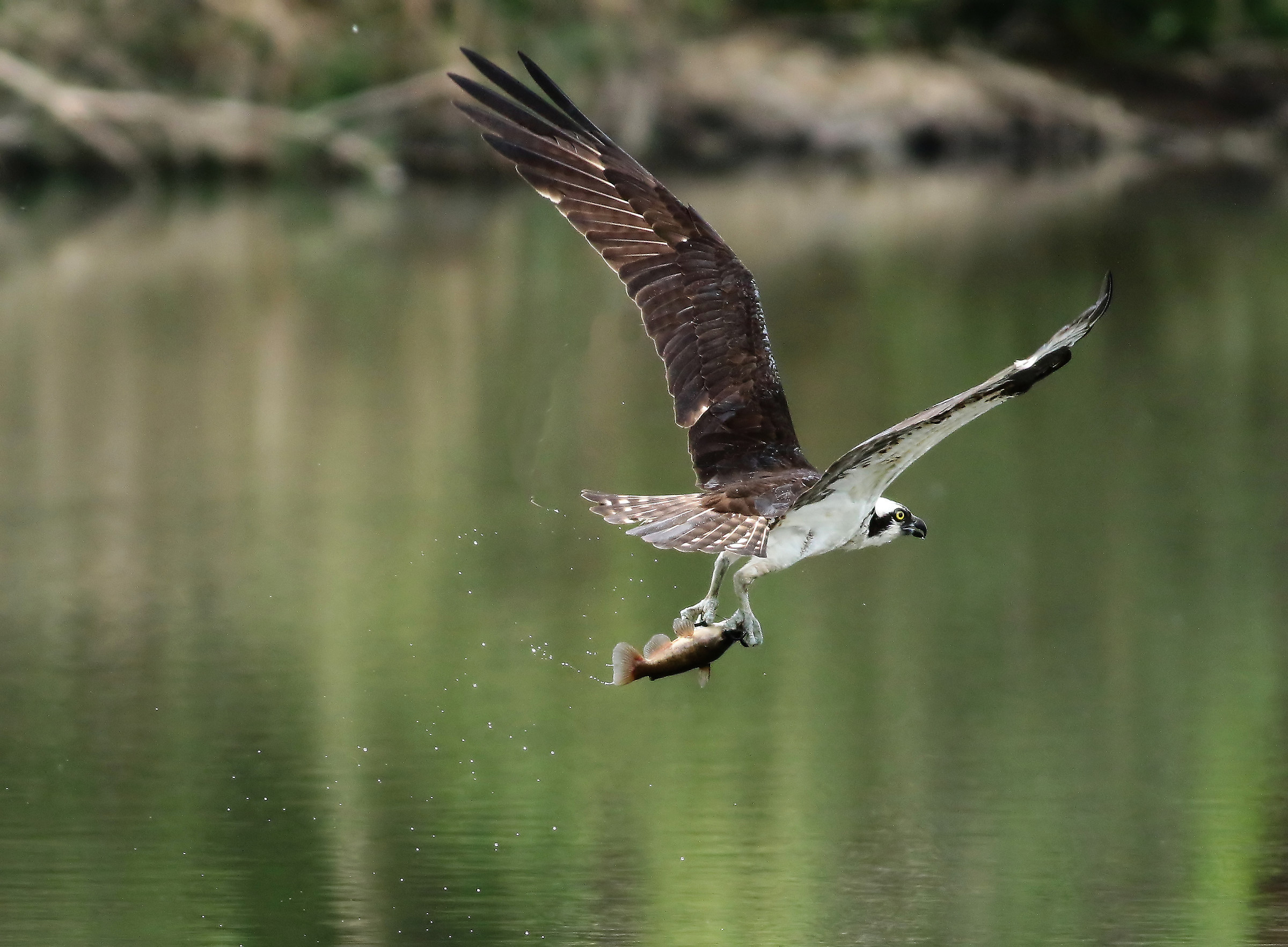 un'altra prospettiva