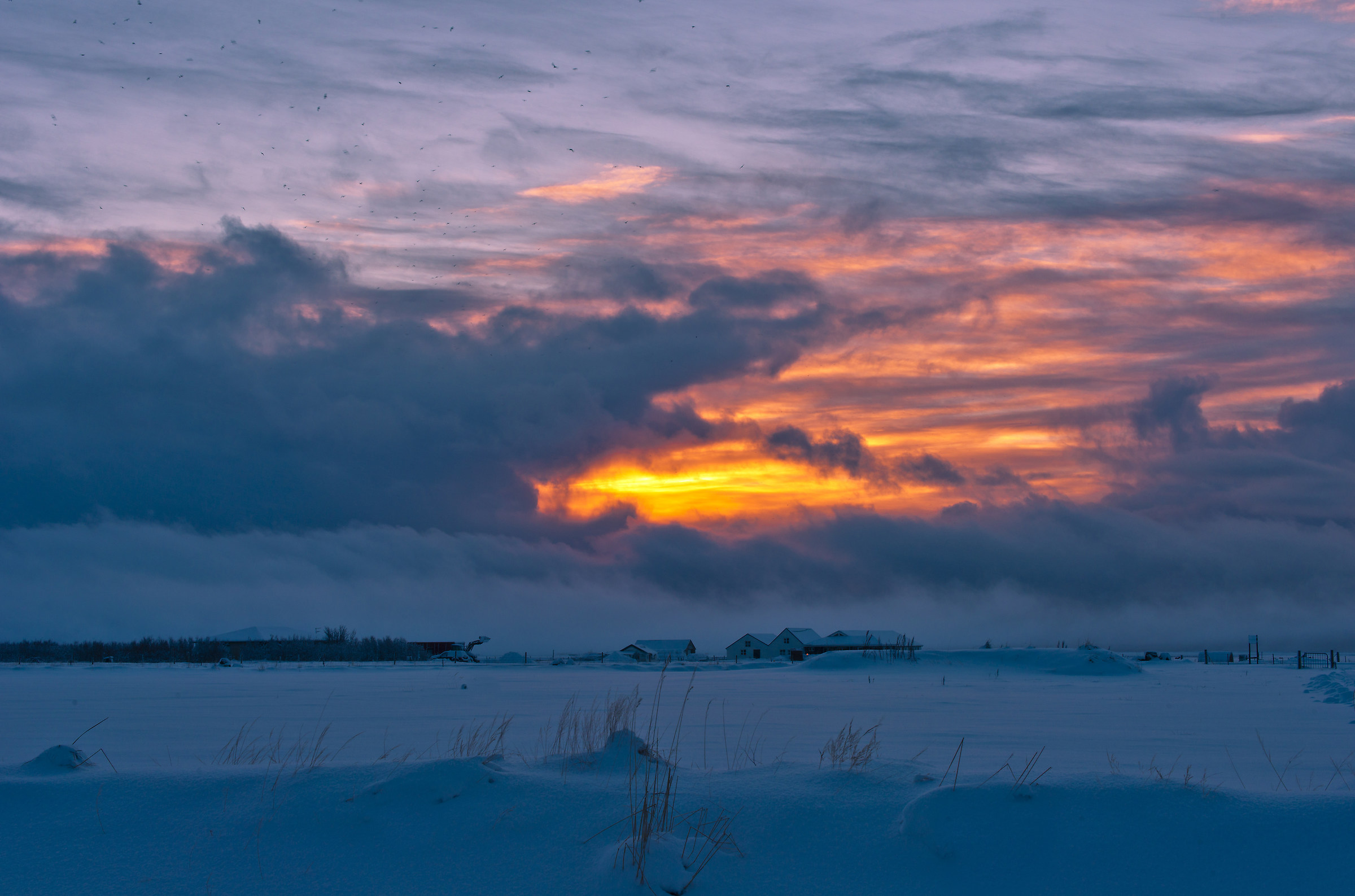icelandic sunrise