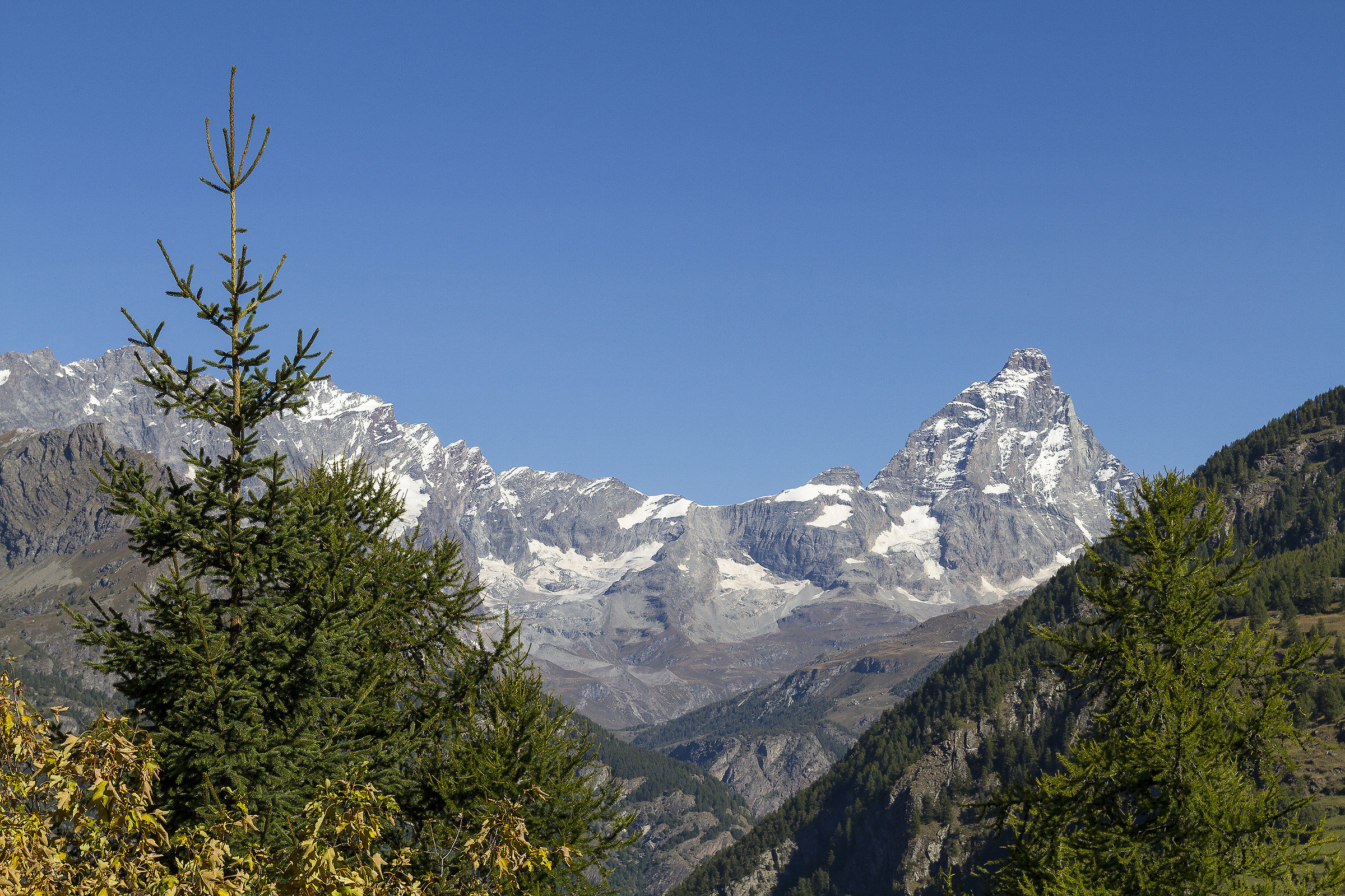 Veduta sul Cervino dalla valle(Valtournenche)