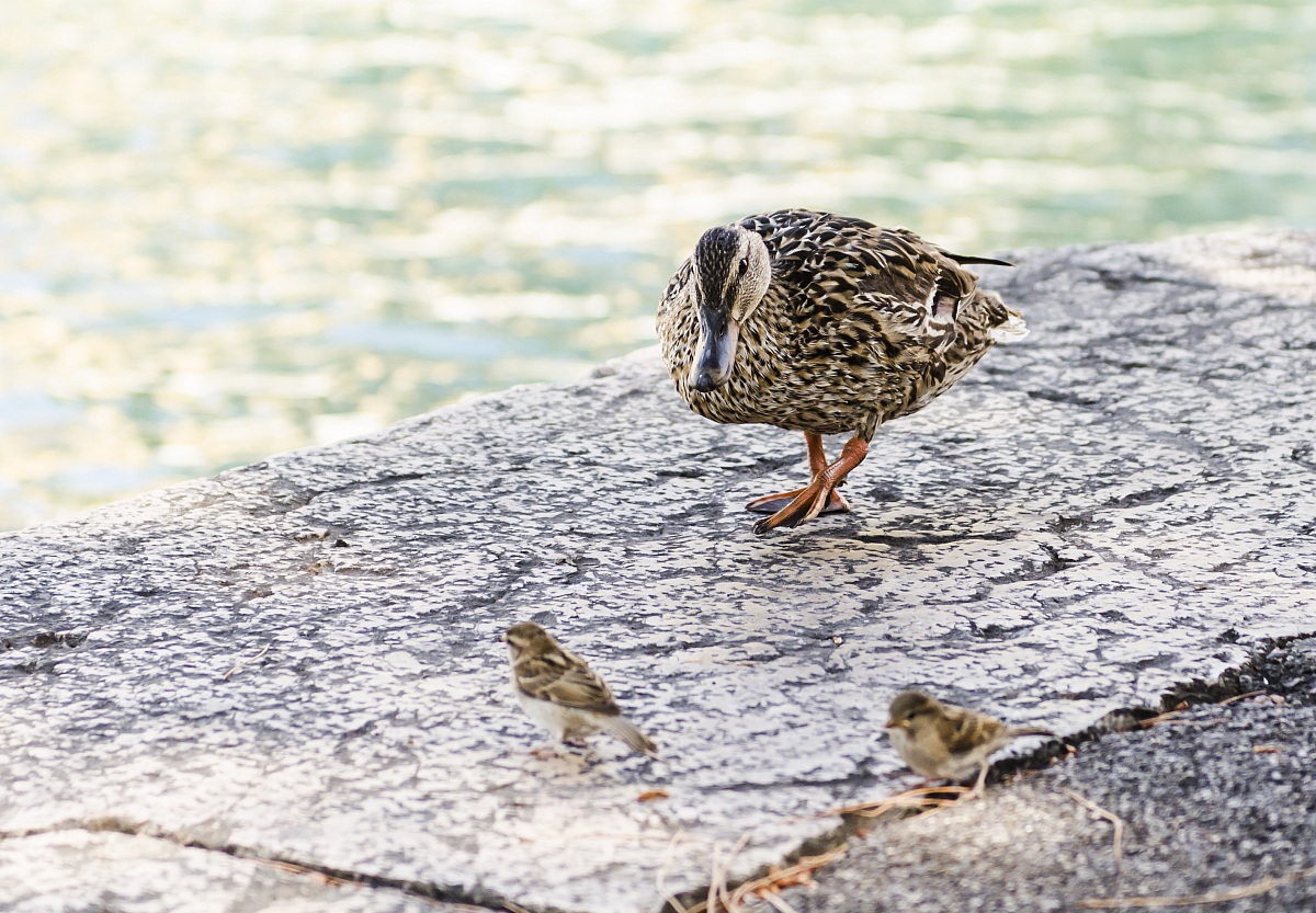 Across the smallest ...