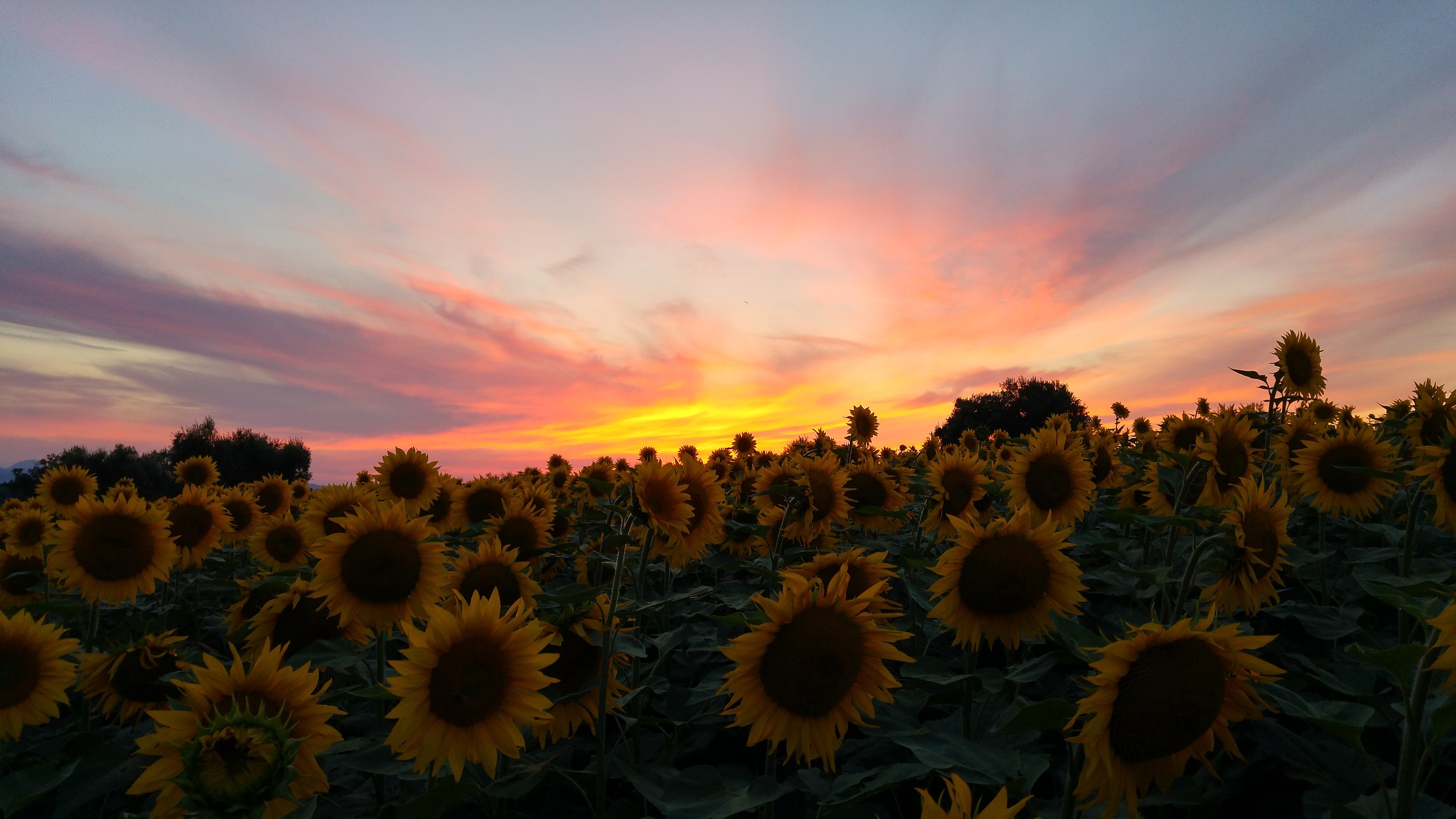 tramonto con cellulare