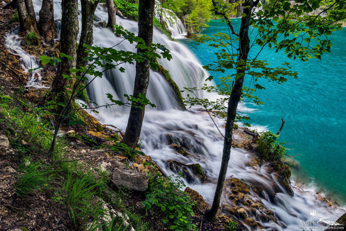 Plitvice glimpse