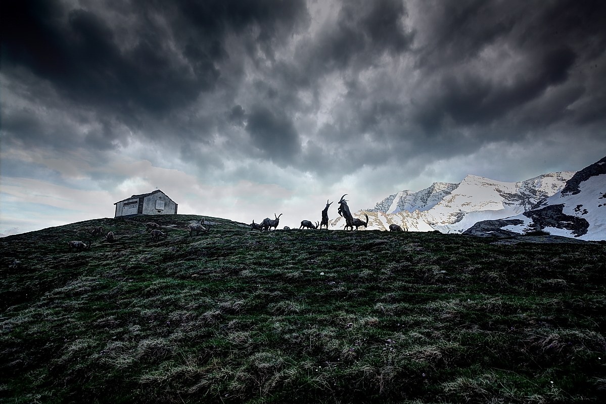 Waiting for the evening