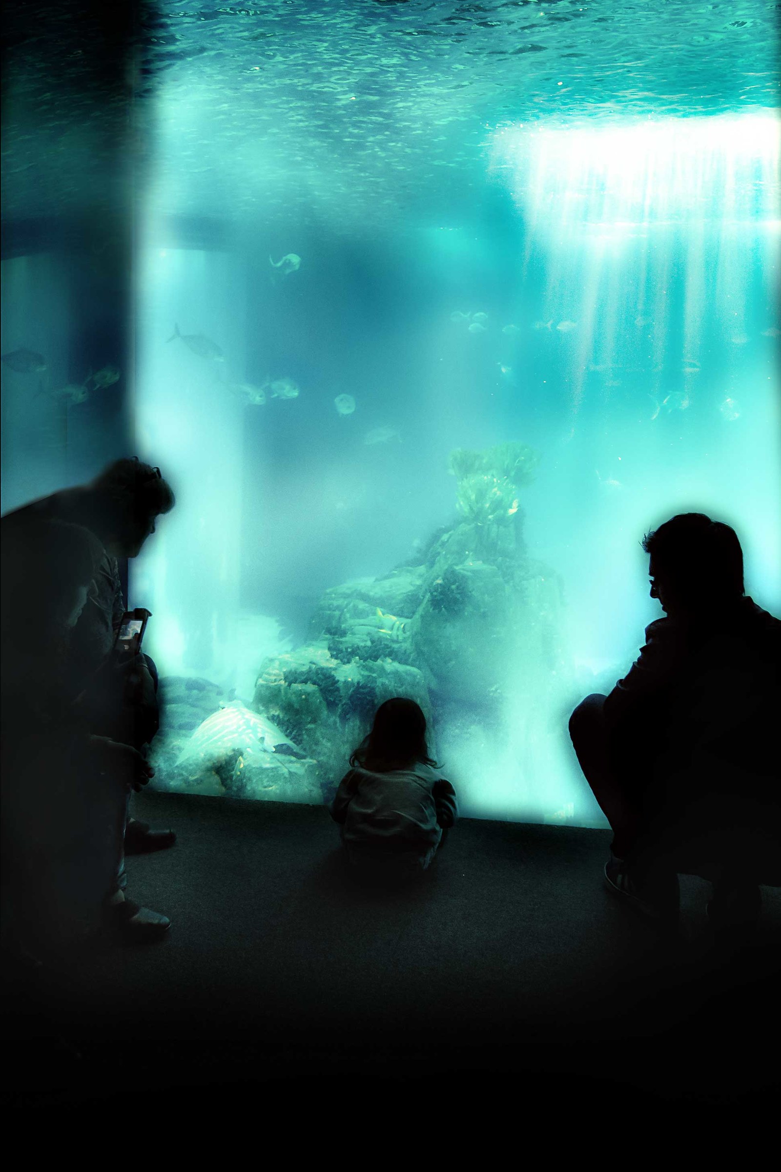 Lisbon - Oceanarium