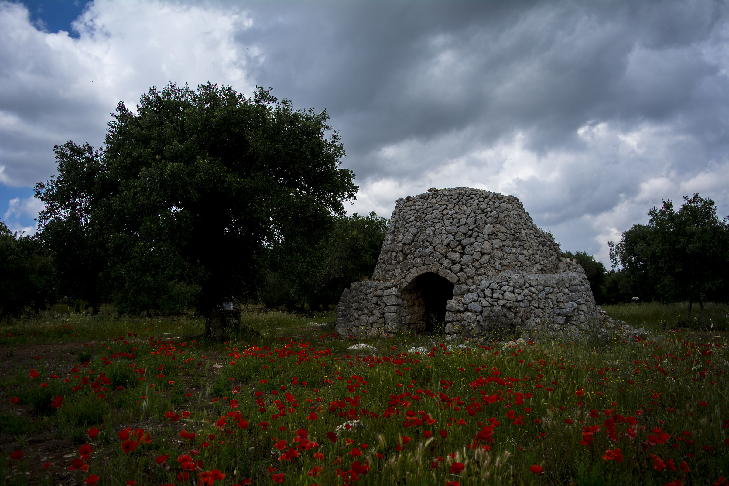 One glimpse of Salento
