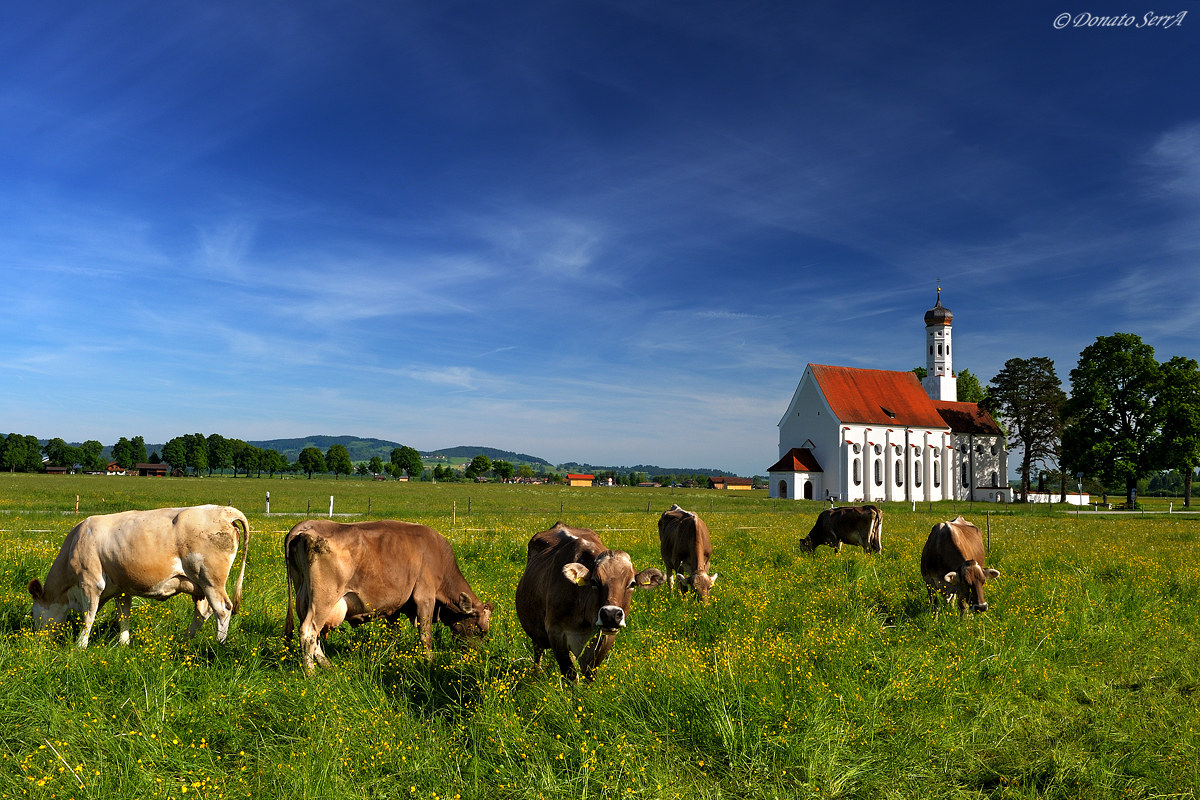 Pascoli a Sankt Coloman