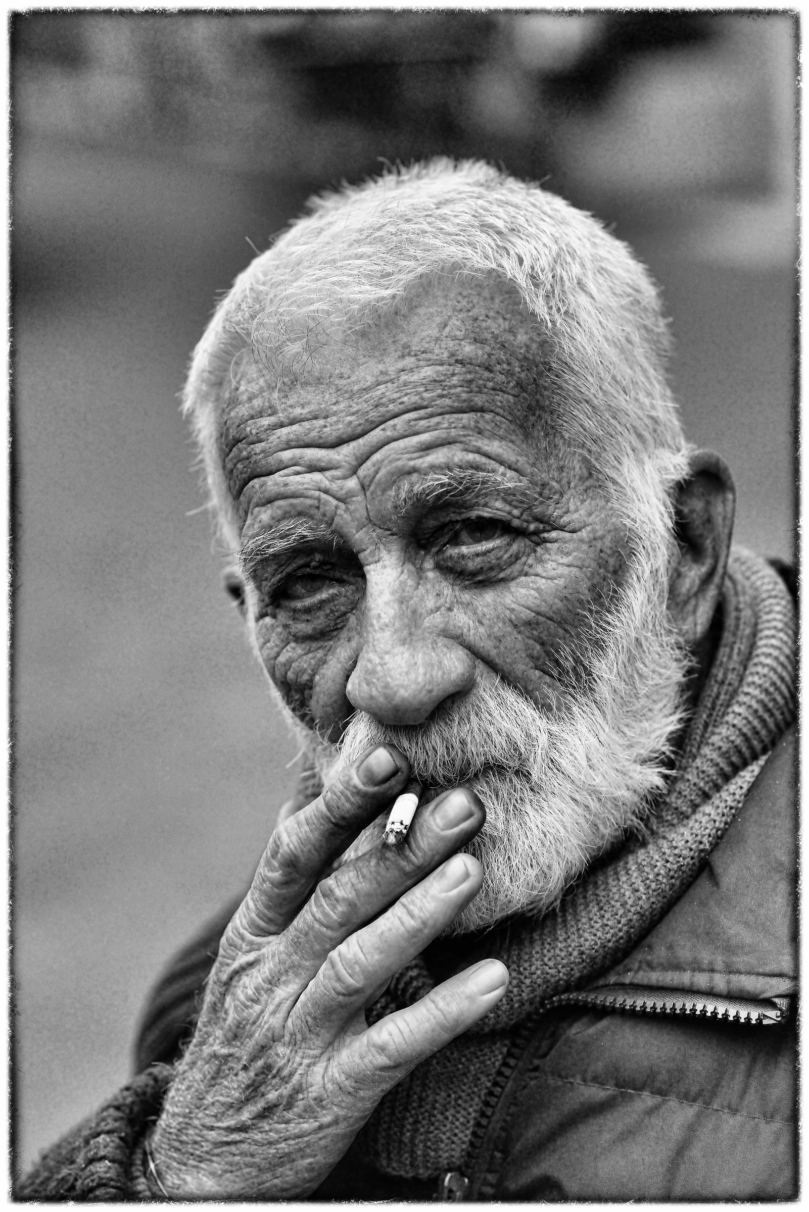 Portrait of a friend