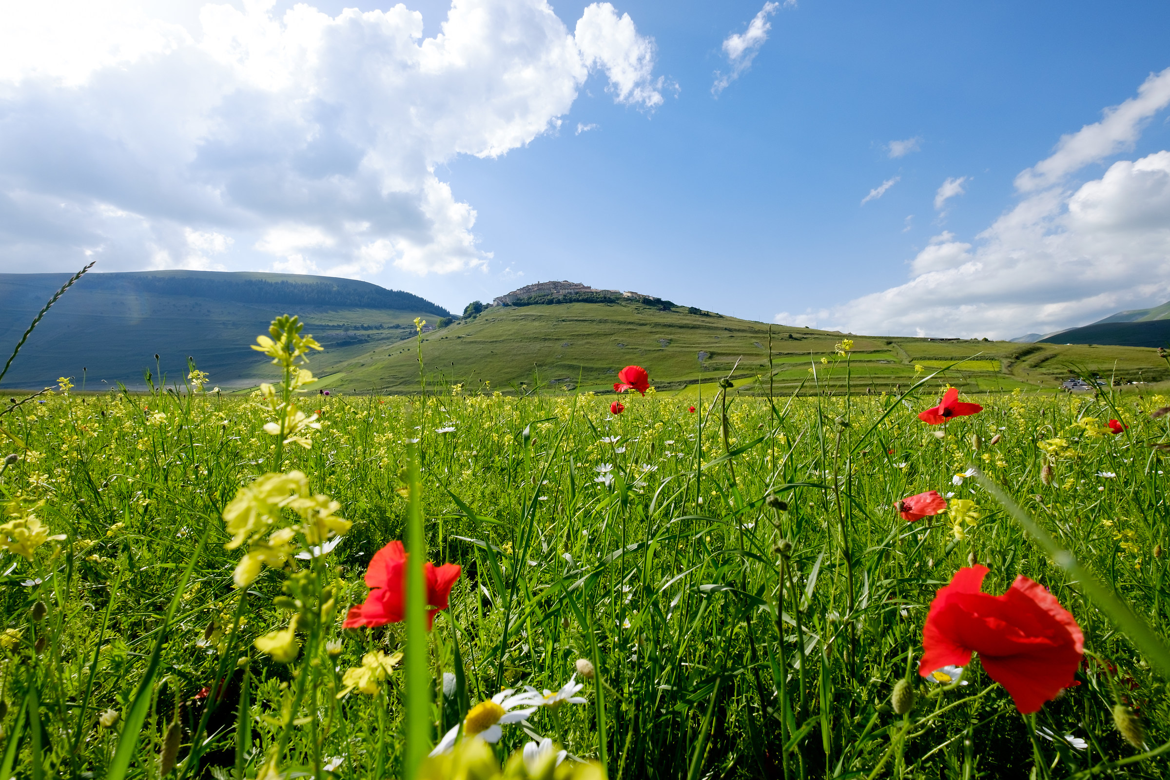 Castelluccio
