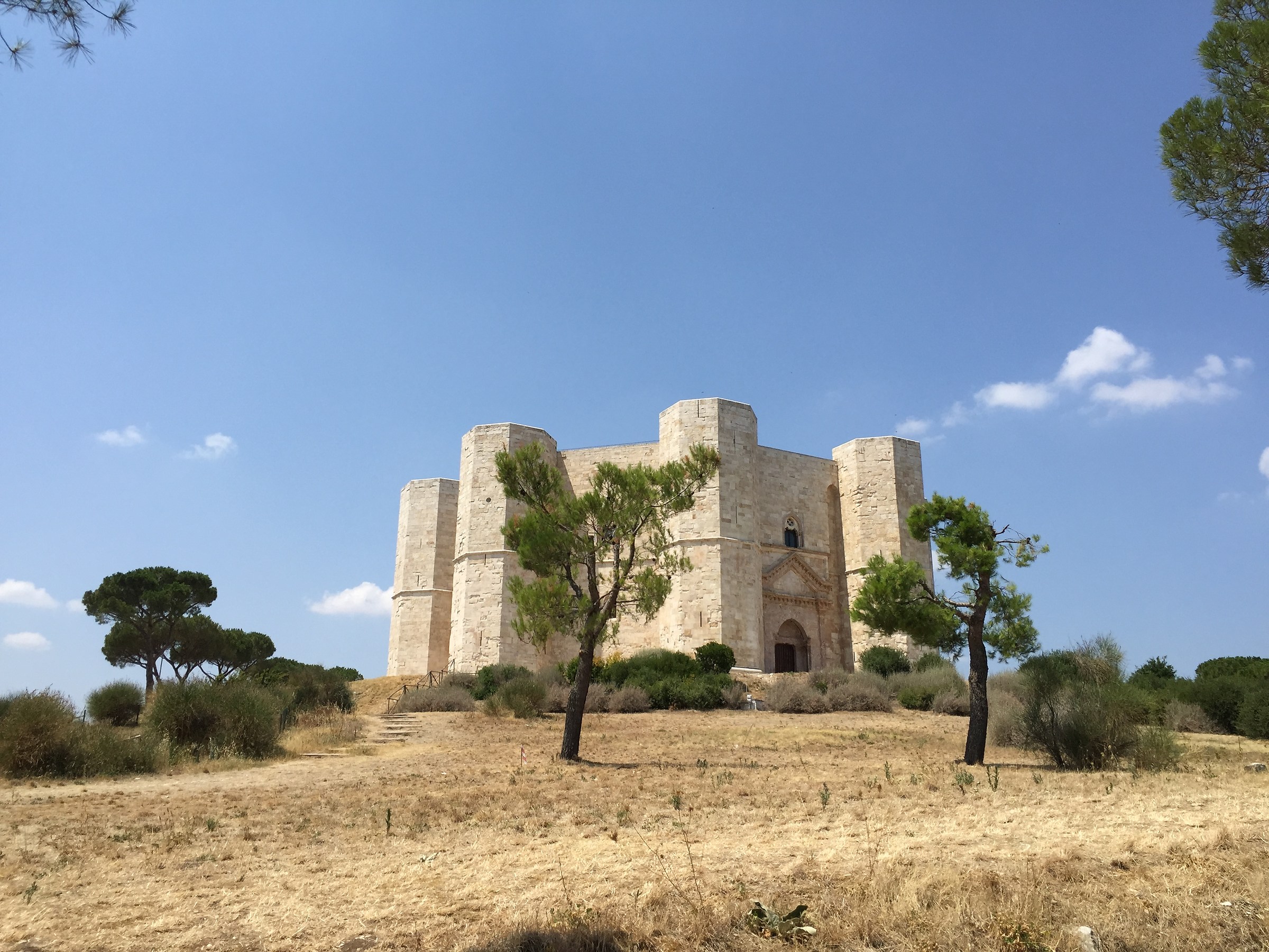 A good ground base to enjoy the sky