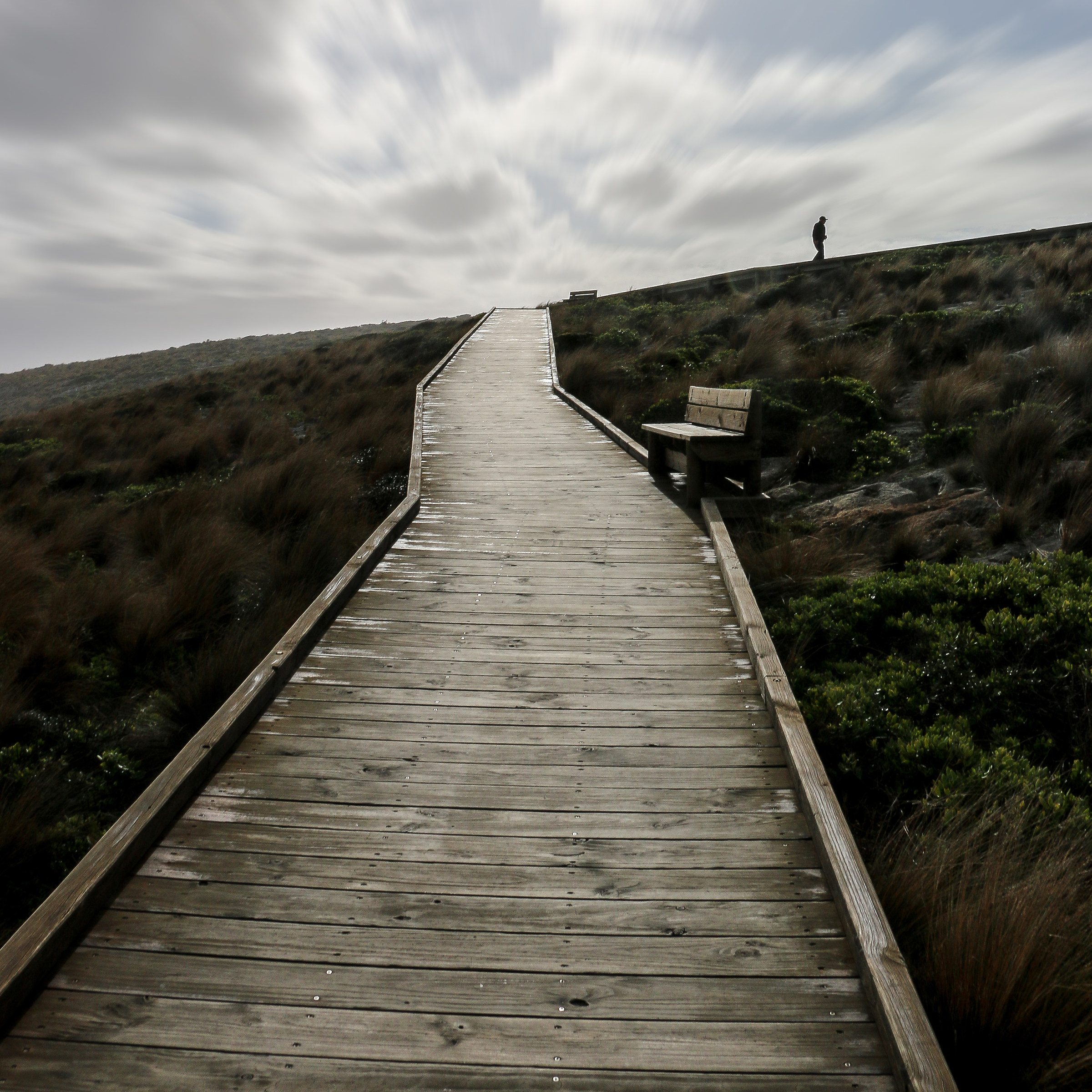 Kangaroo Island boardwalk crop
