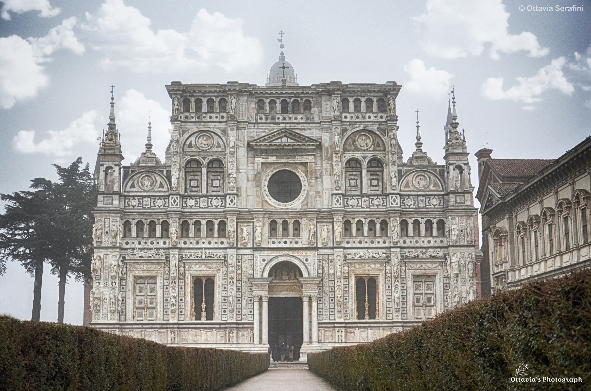 Certosa di Pavia.