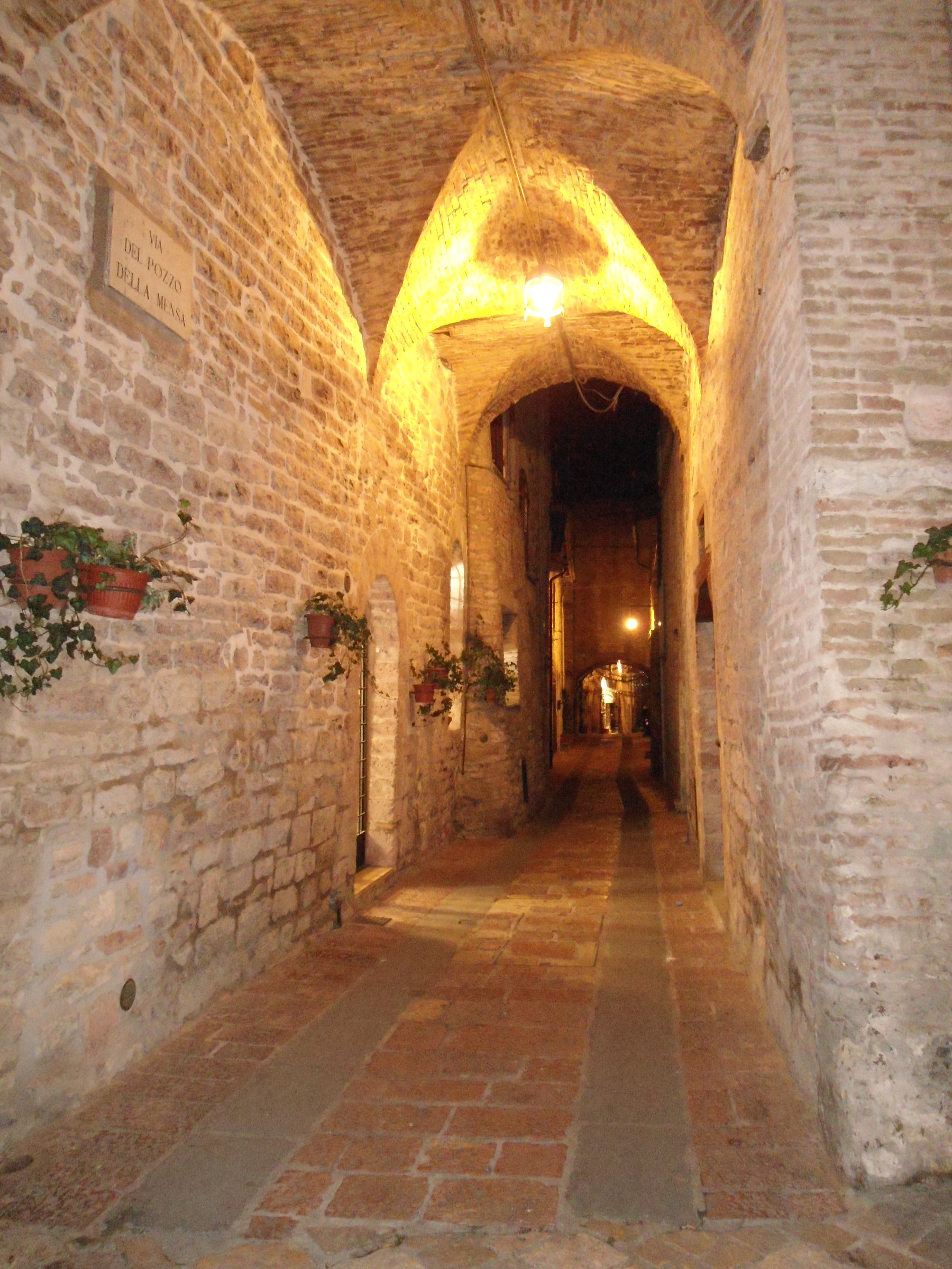 assisi
