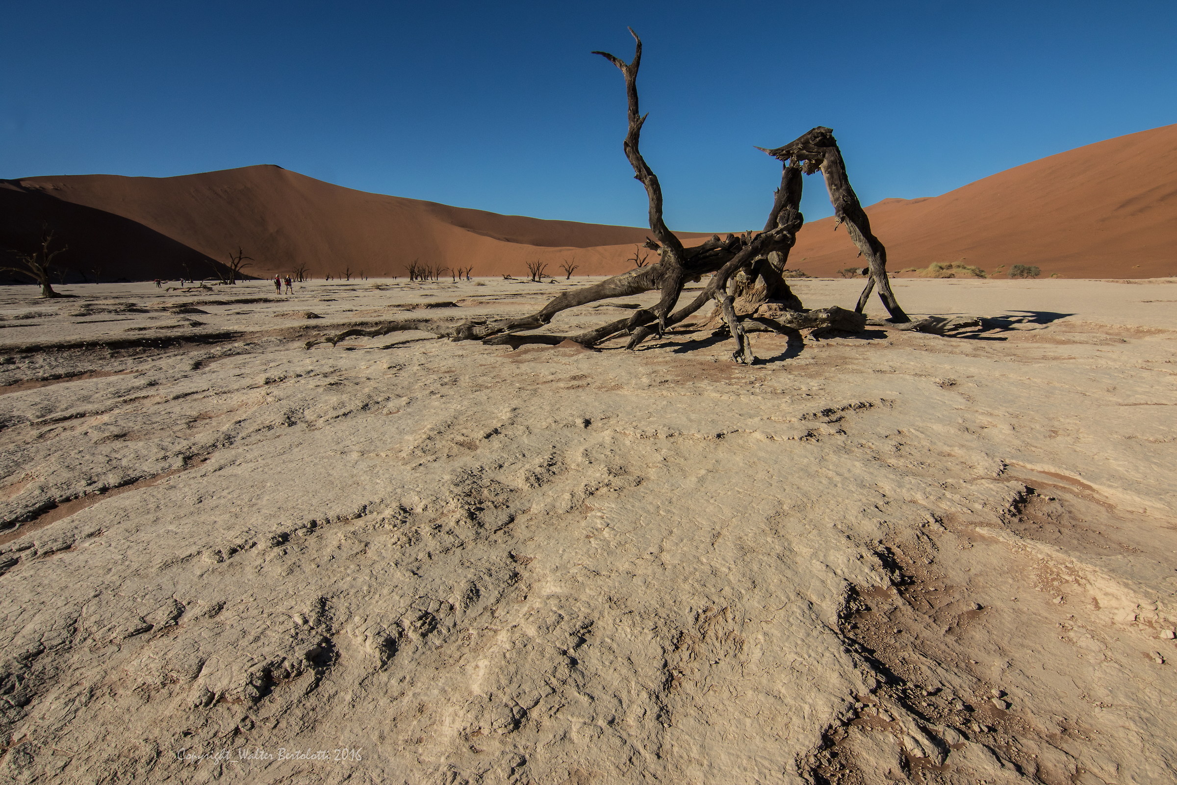 Deadvlei without tenpo