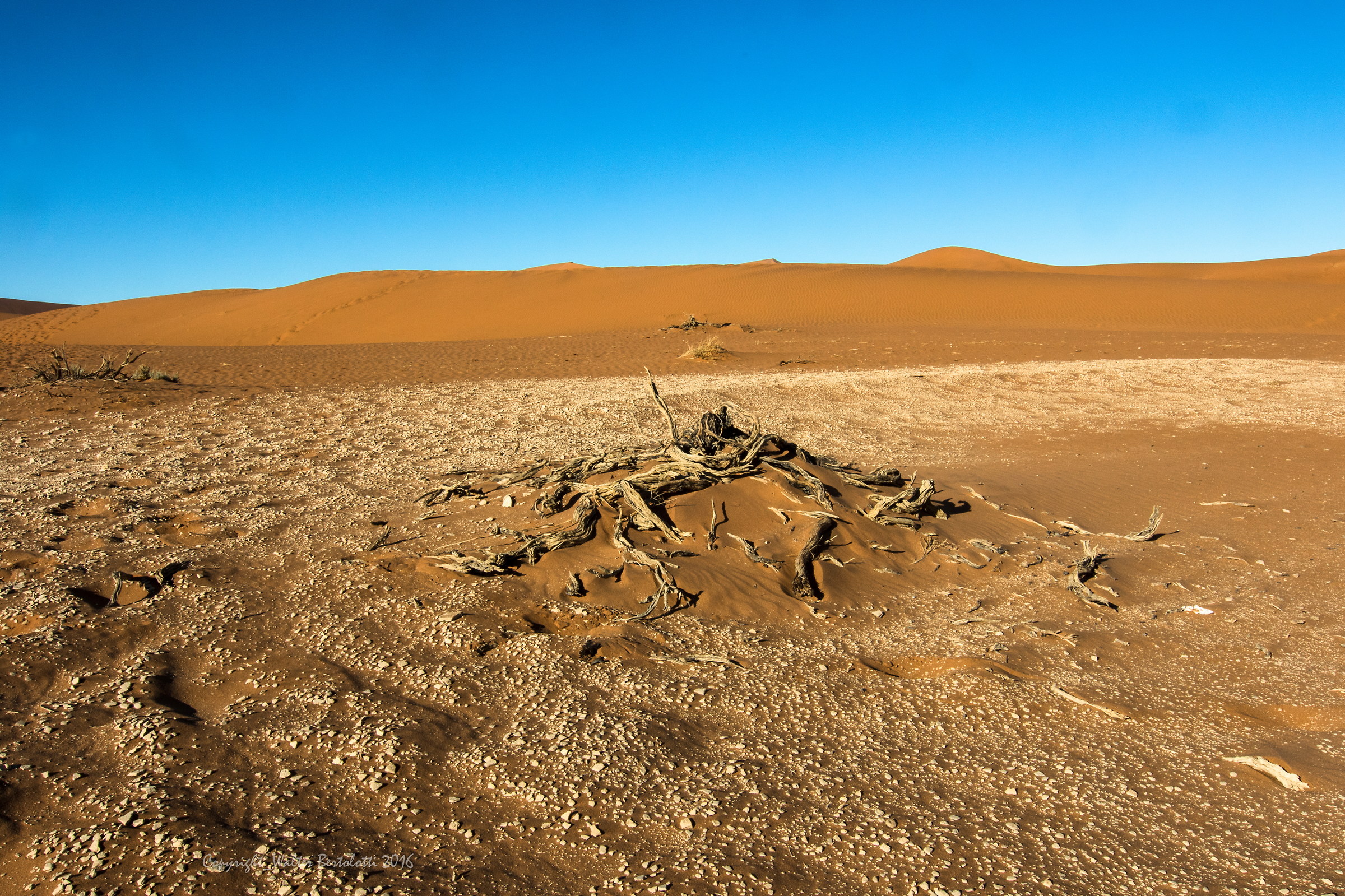 the Namib