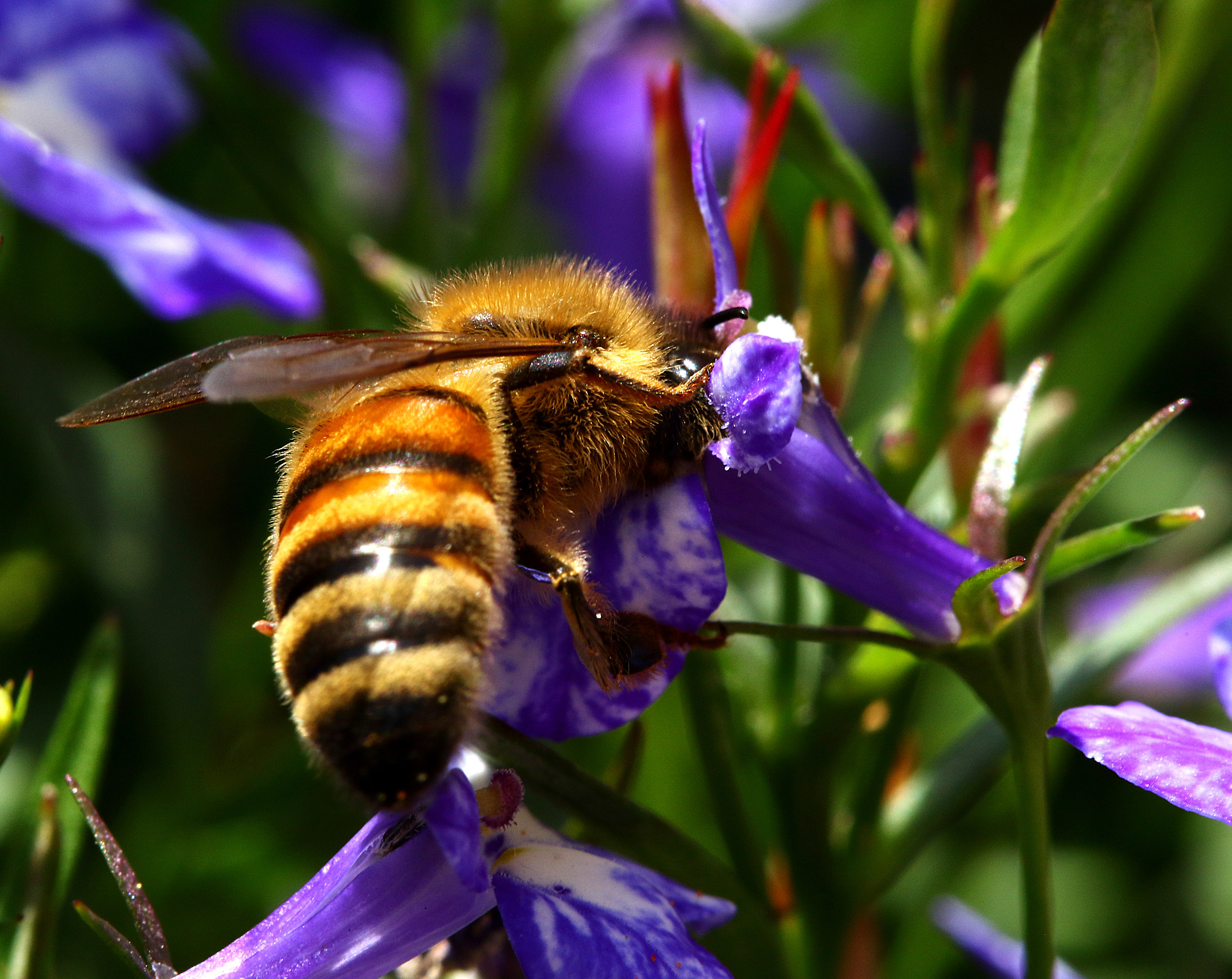 Breakfast at Tiffany's!