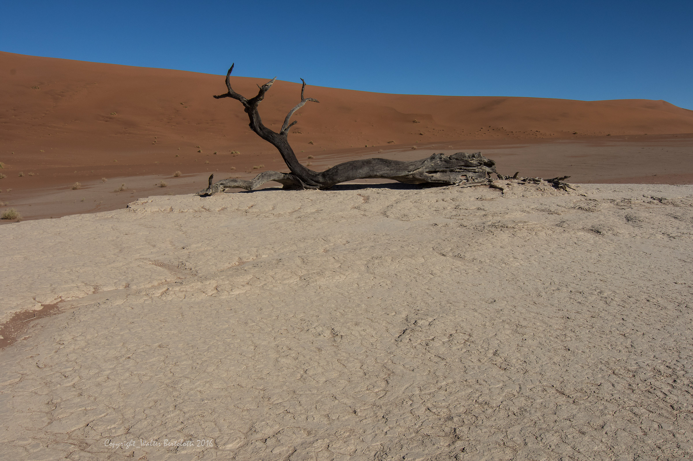 Deadvlei timeless 4