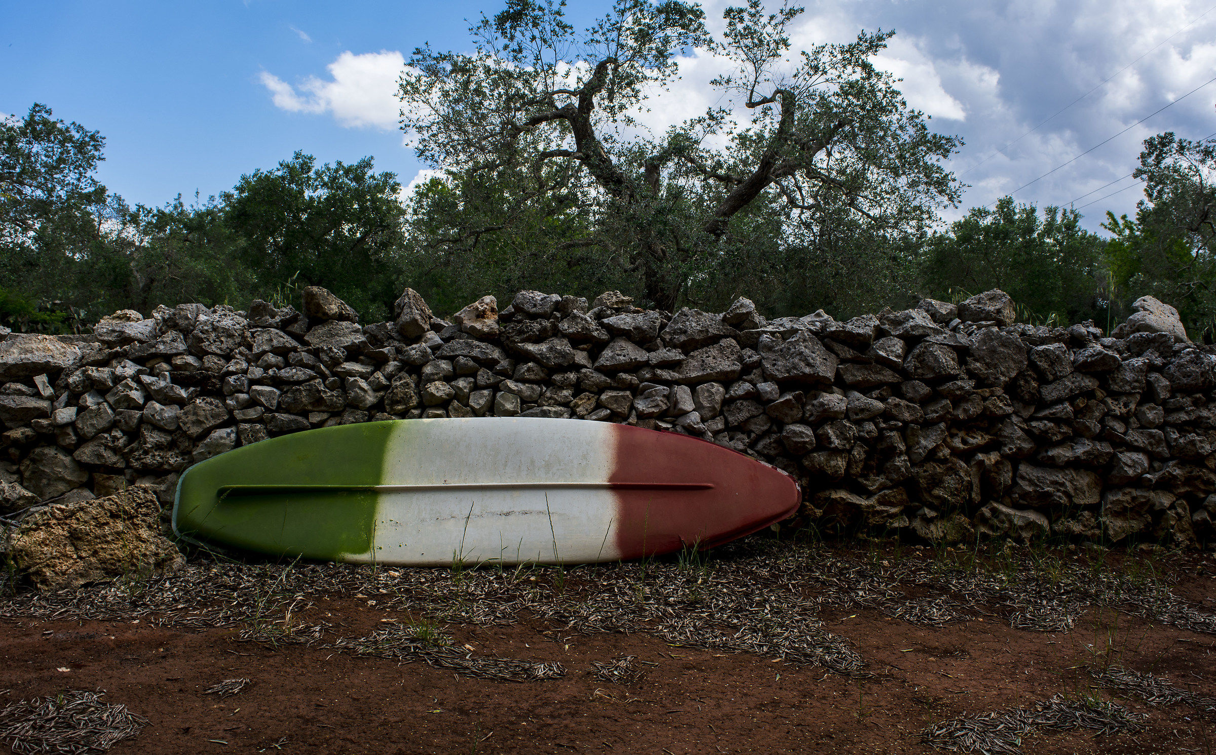 Surf among the olive trees