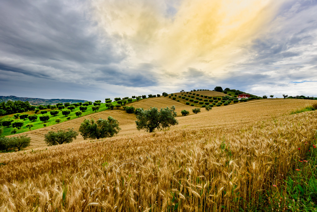 paesaggi pugliesi