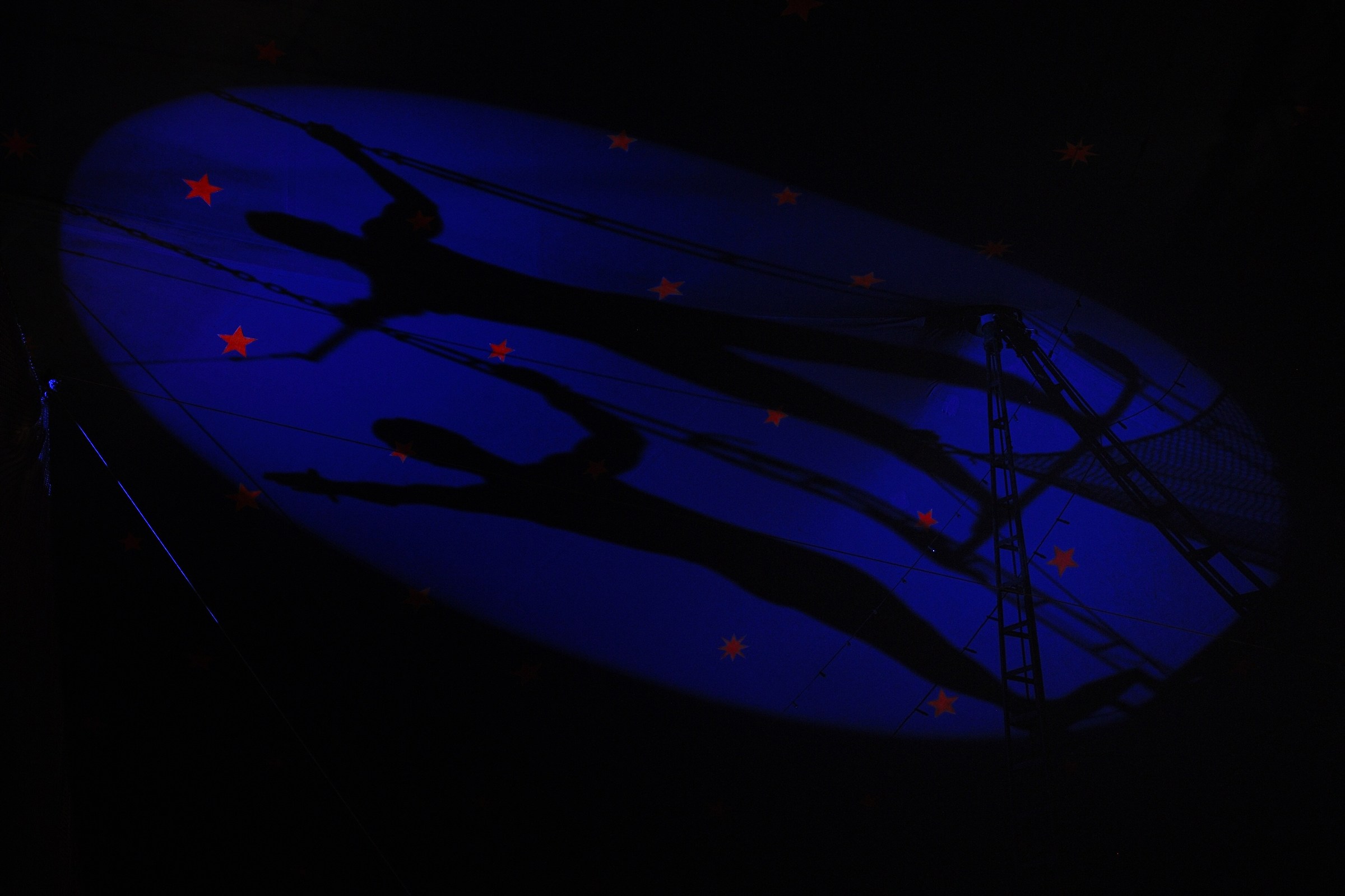 Una sera al Circo....