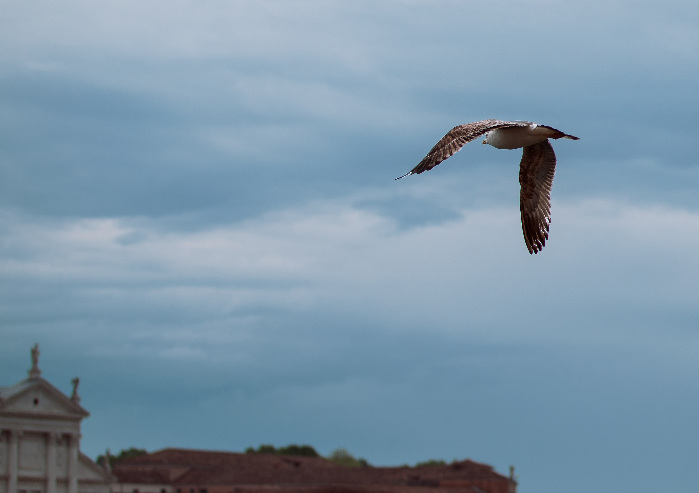 Volando su Venezia