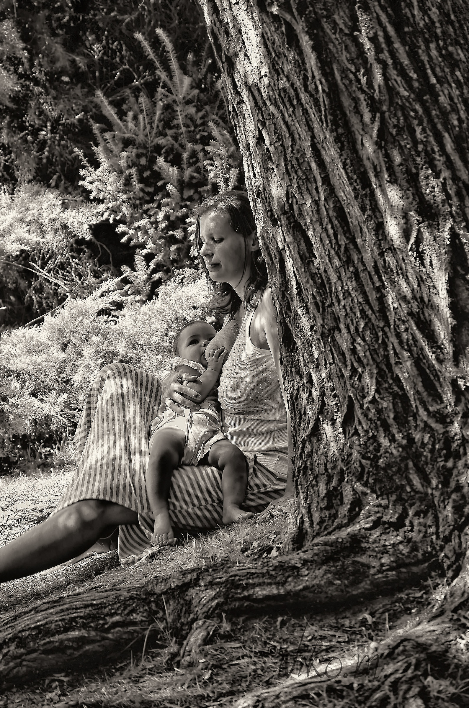 la meraviglia della vita