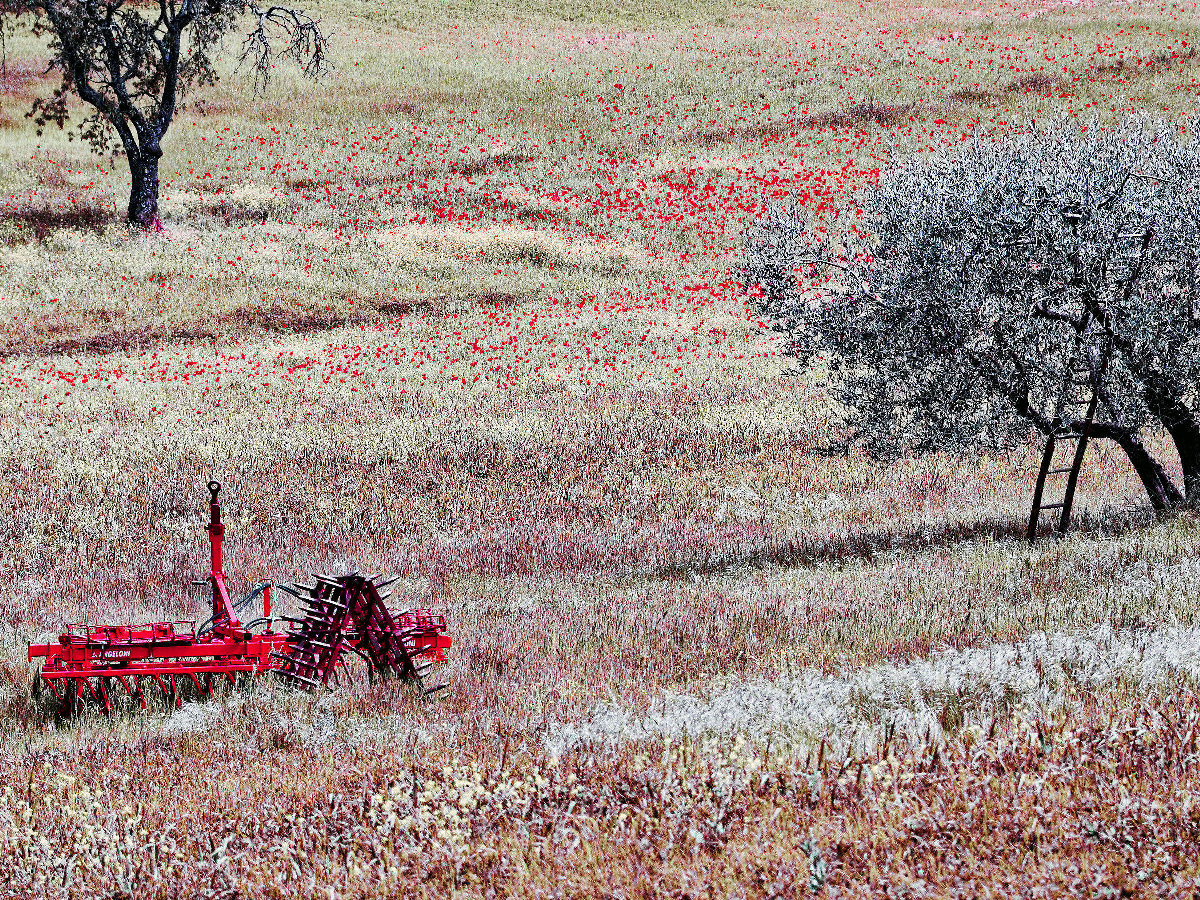 red plow