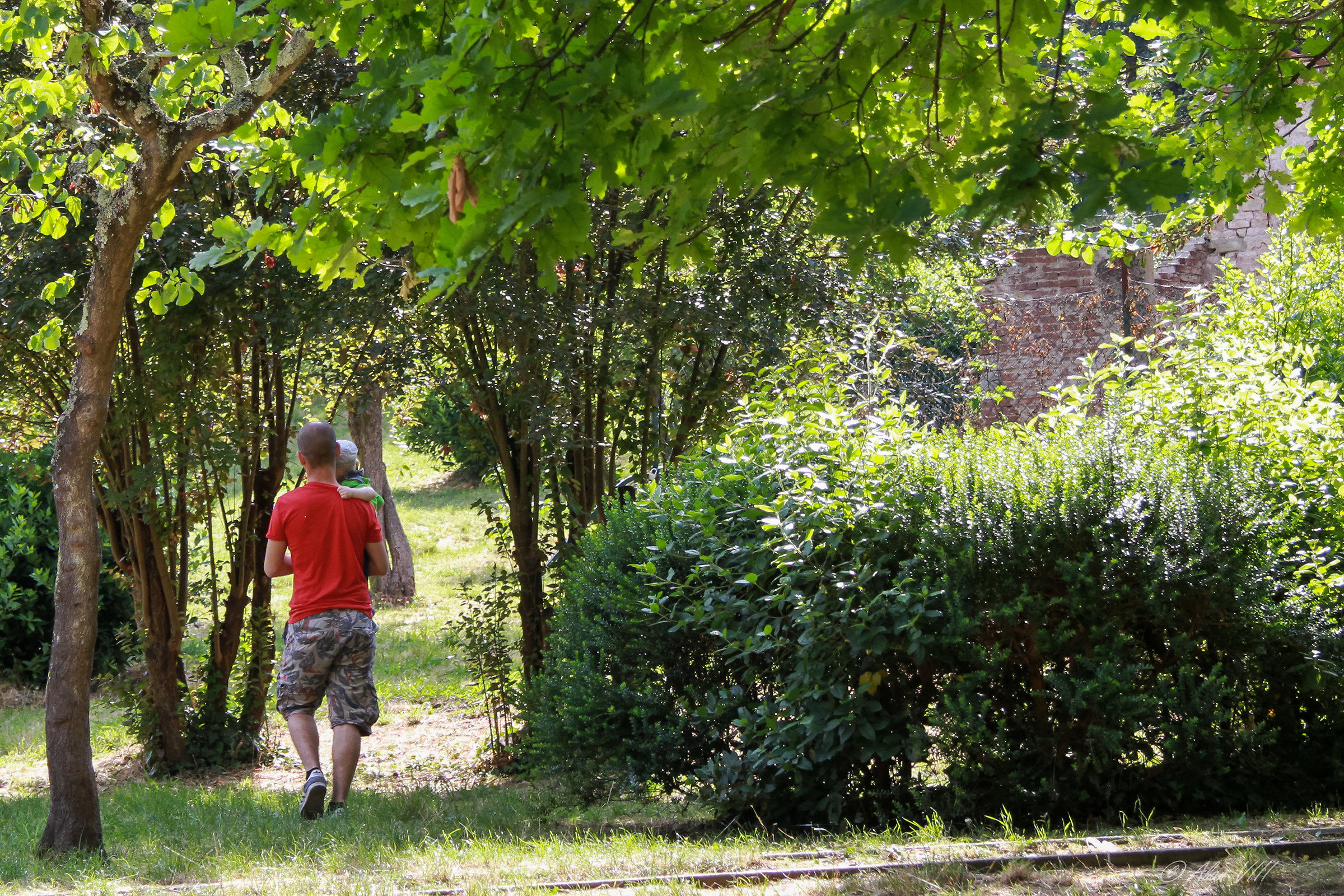 with dad can do it all