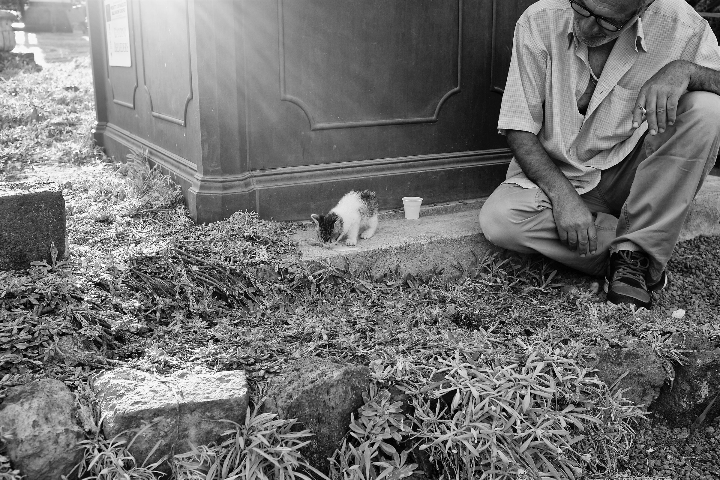 Un Uomo e un gattino