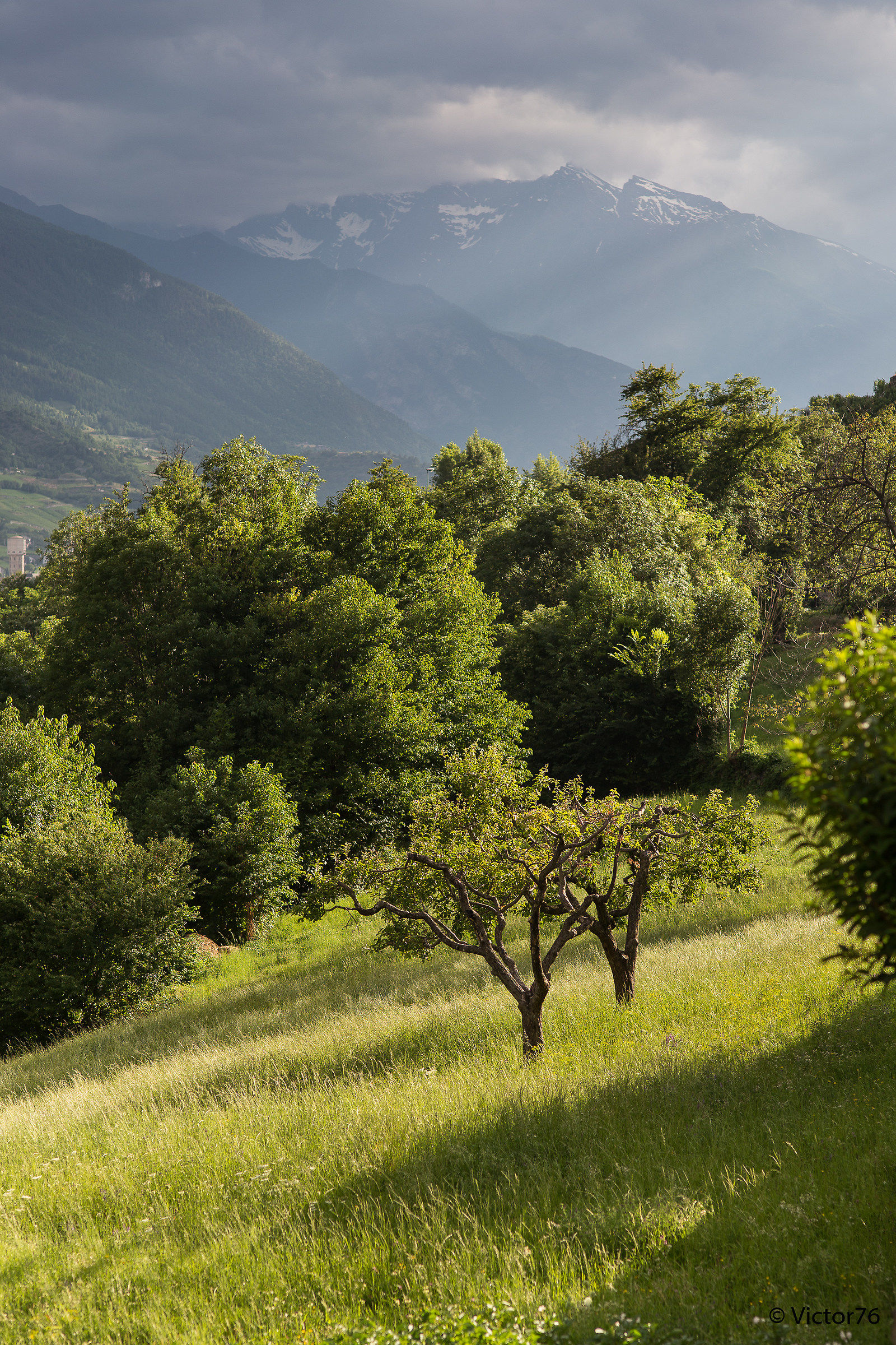 Alle 18, controluce dalla finestra di casa mia...