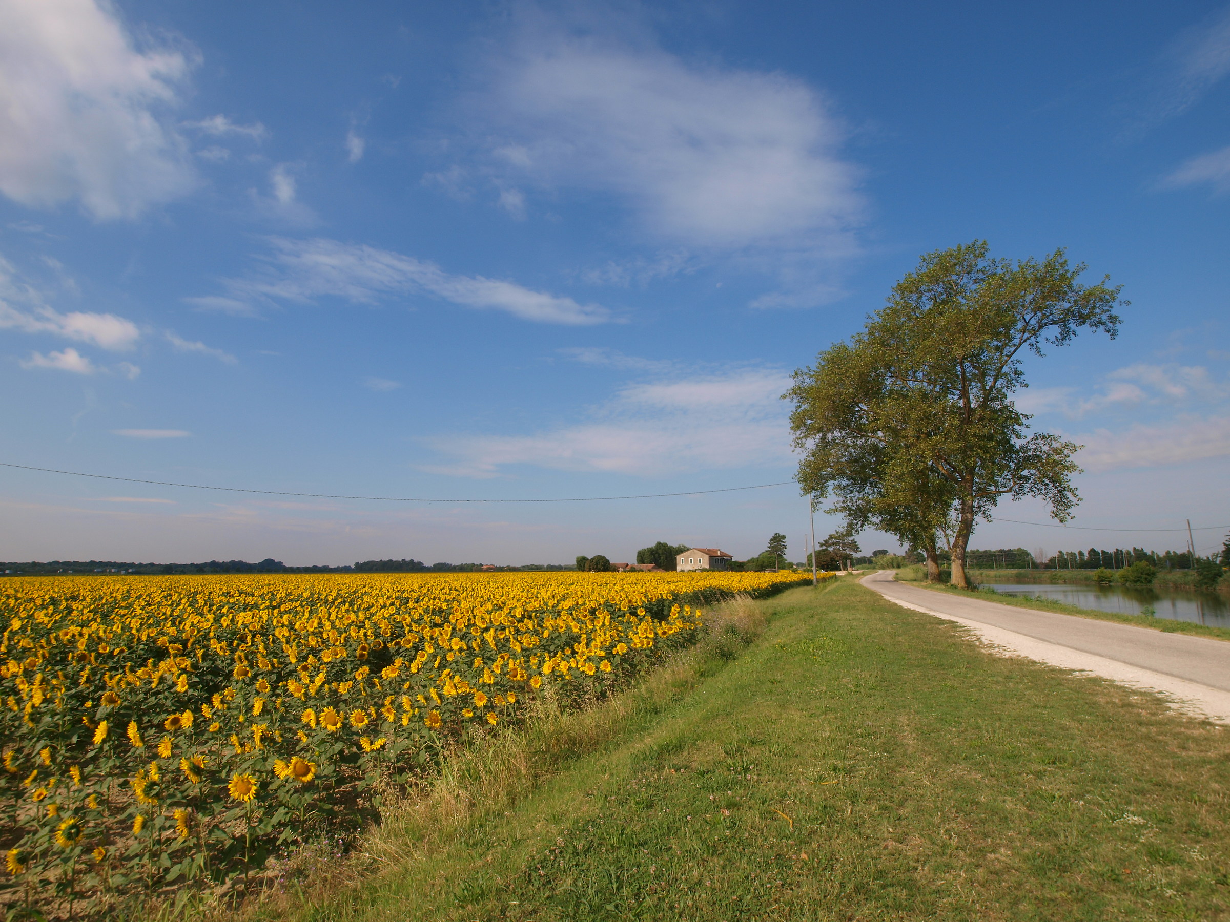 Ravenna between Casal Borsetti and Mandriole