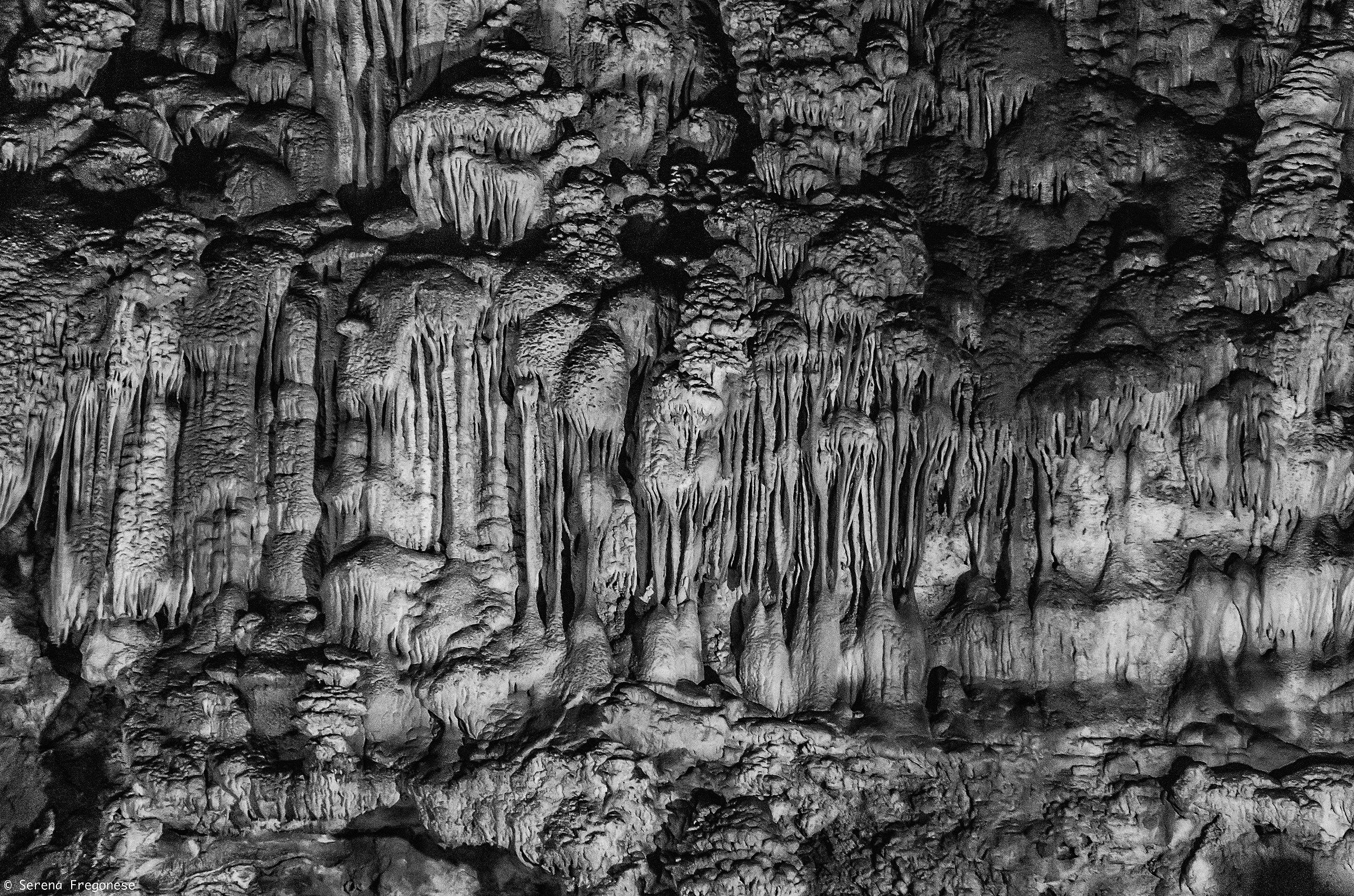 Mushrooms or monsters?