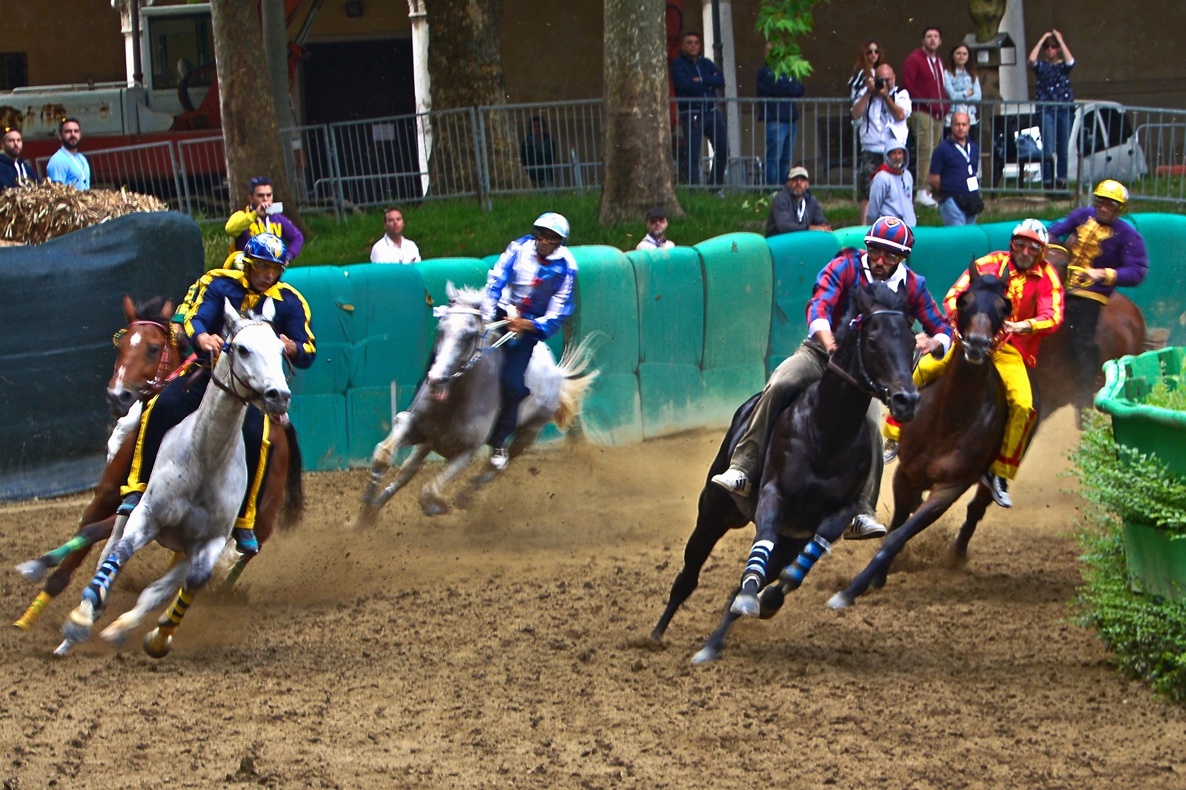 Palio di Ferrara 2