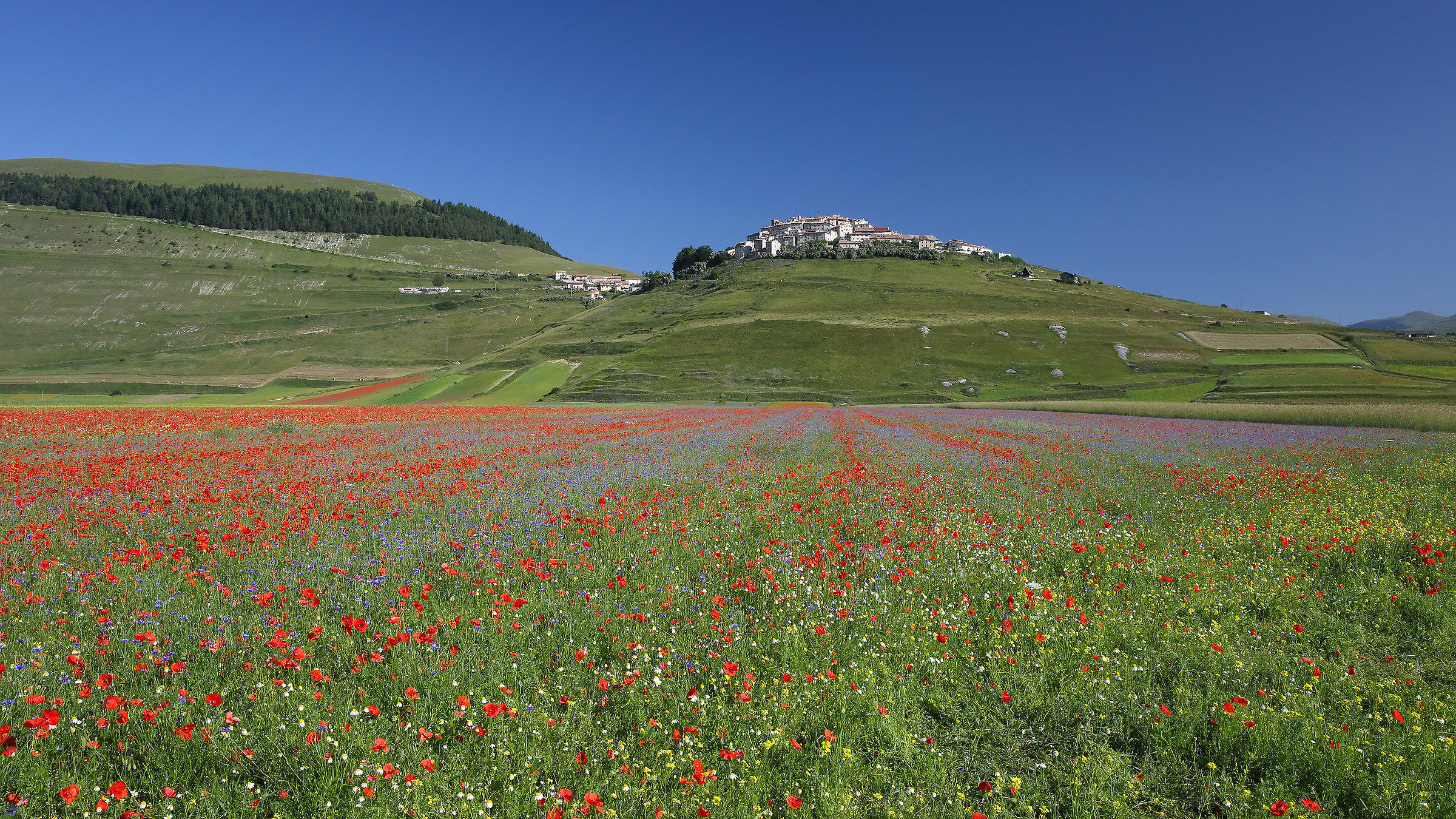 Castelluccio