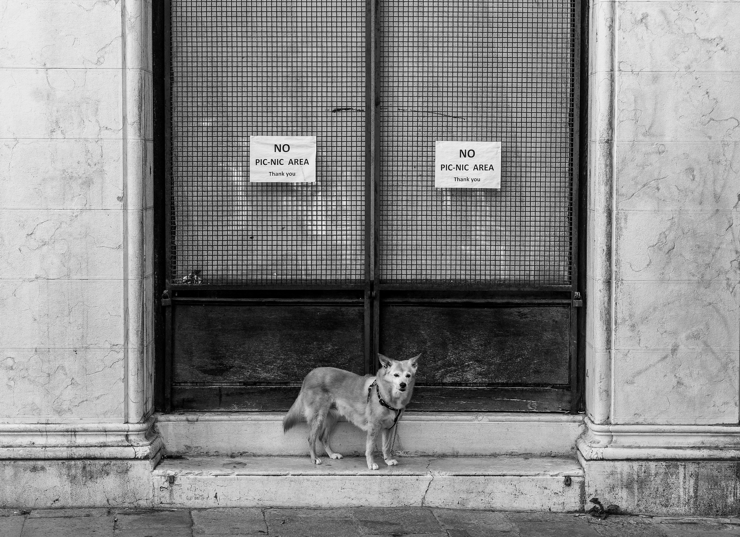 Vediamo chi ha coraggio di sedersi!!!!