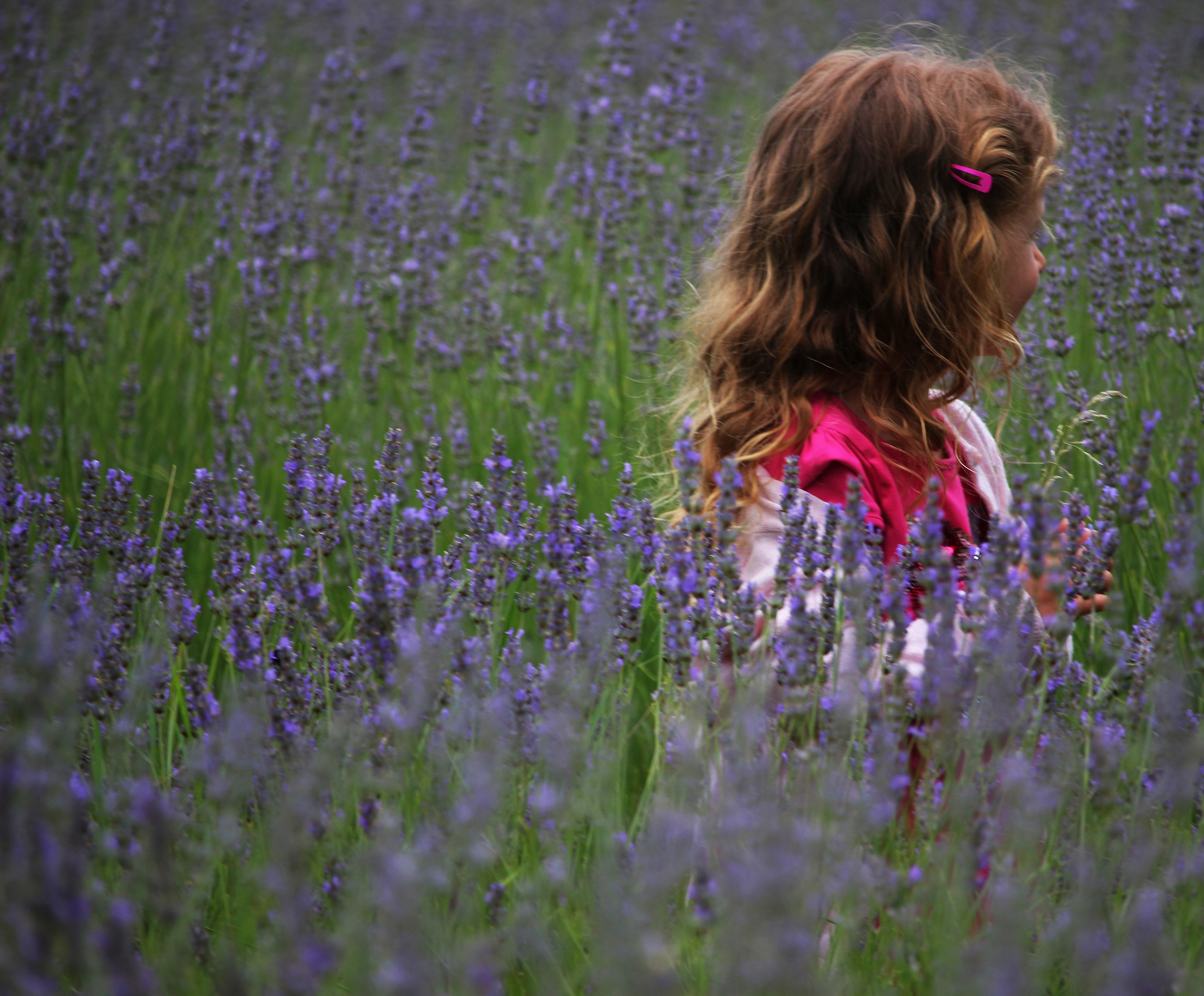 In the middle of fields