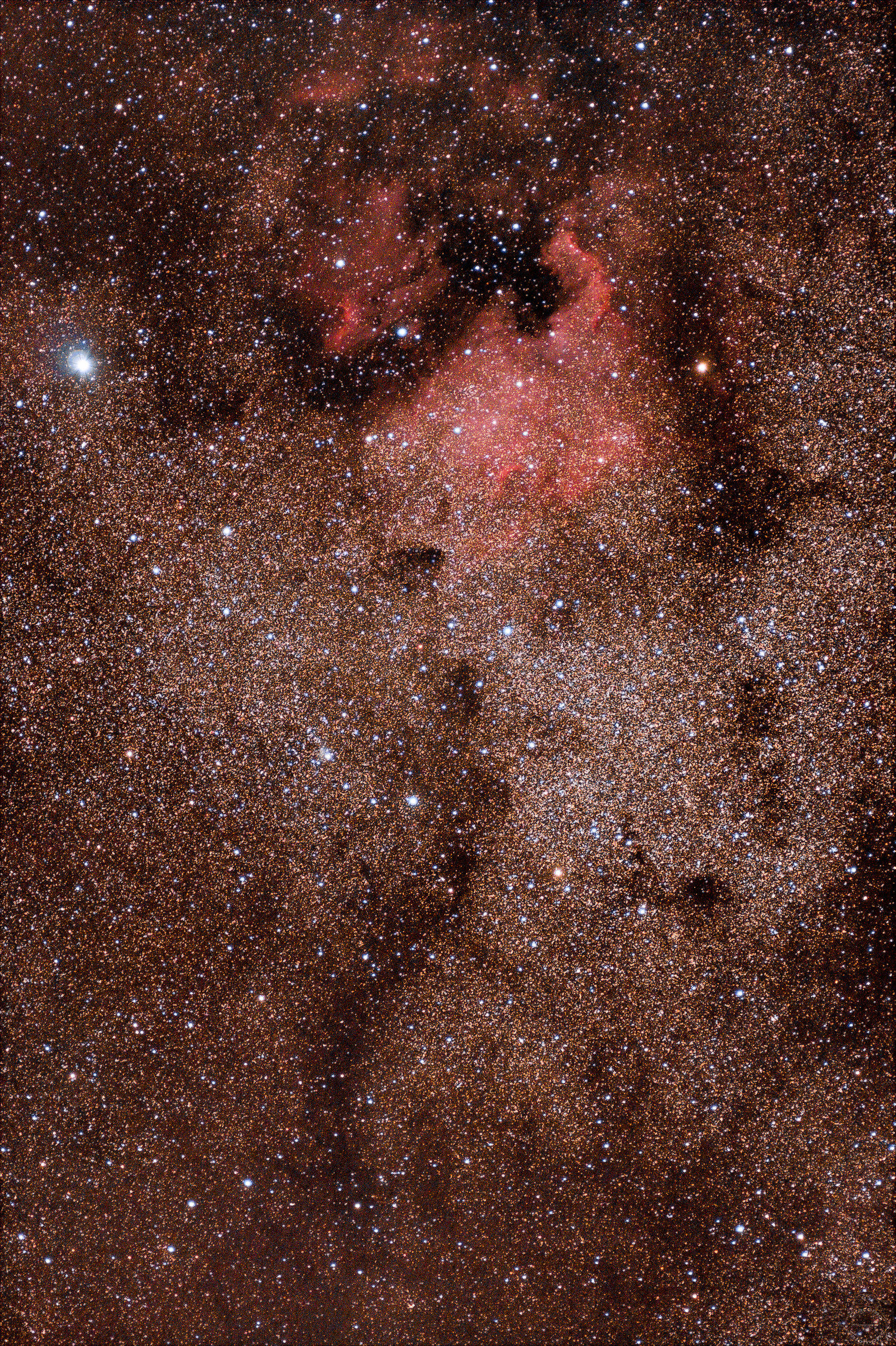 The nebula North America