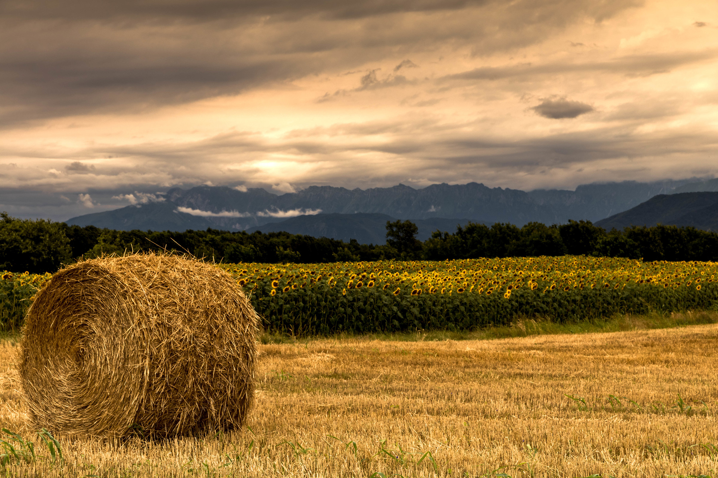 All hell broke loose