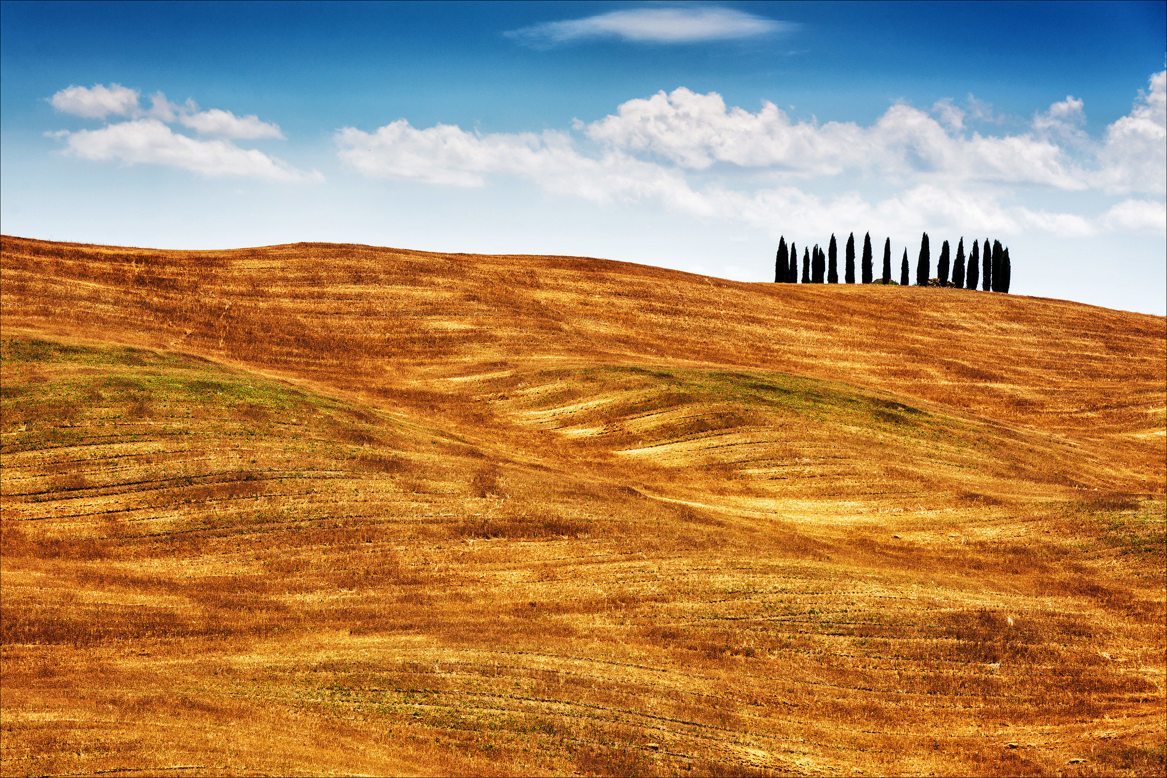 Val d'Orcia - I Cipressi