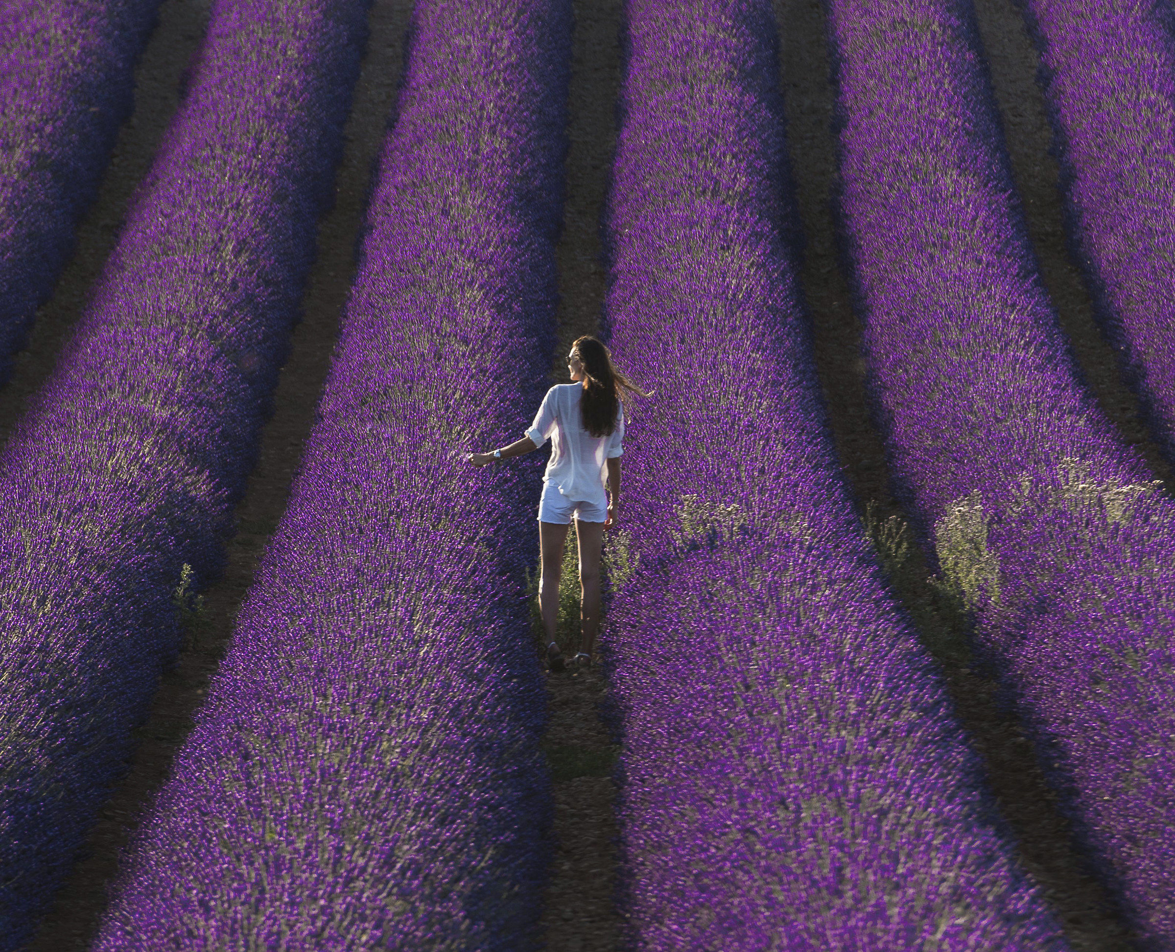 il sole bacia i belli