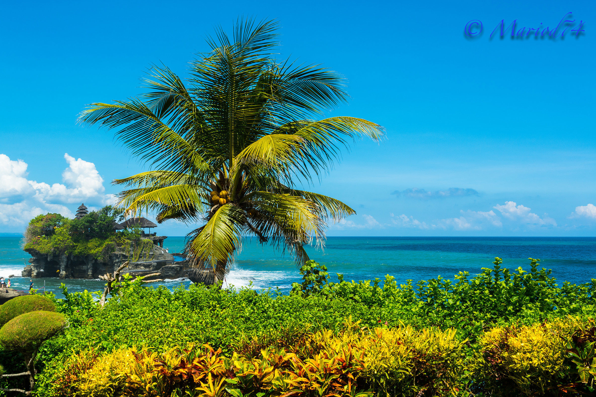 Indonesia Bali Tanah Lot il tempio sul mare-6
