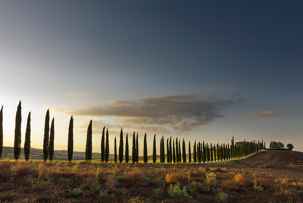 The sunset of the avenue