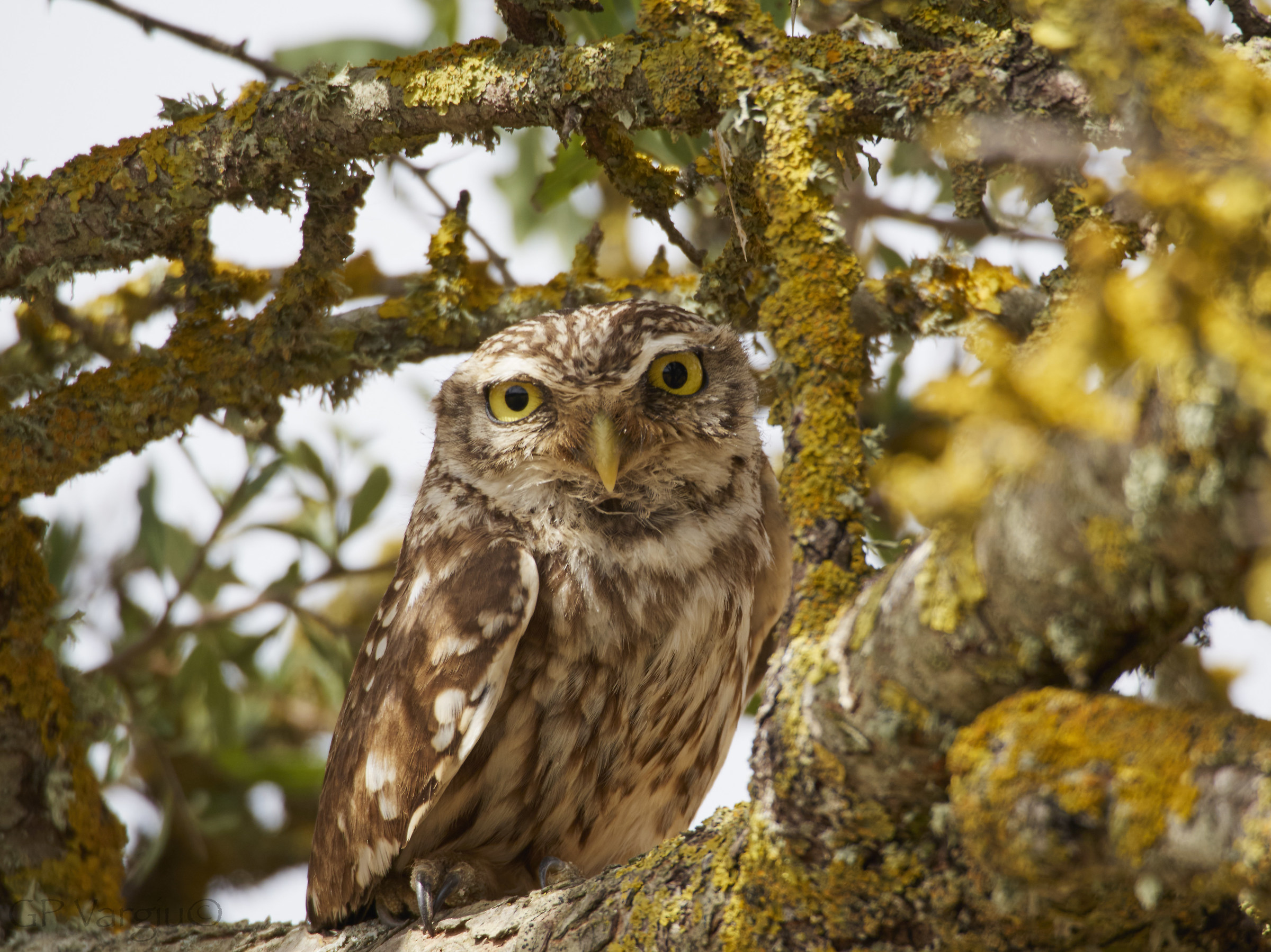 Questa è l'ultima eh! Ma quando vai in vacanza?