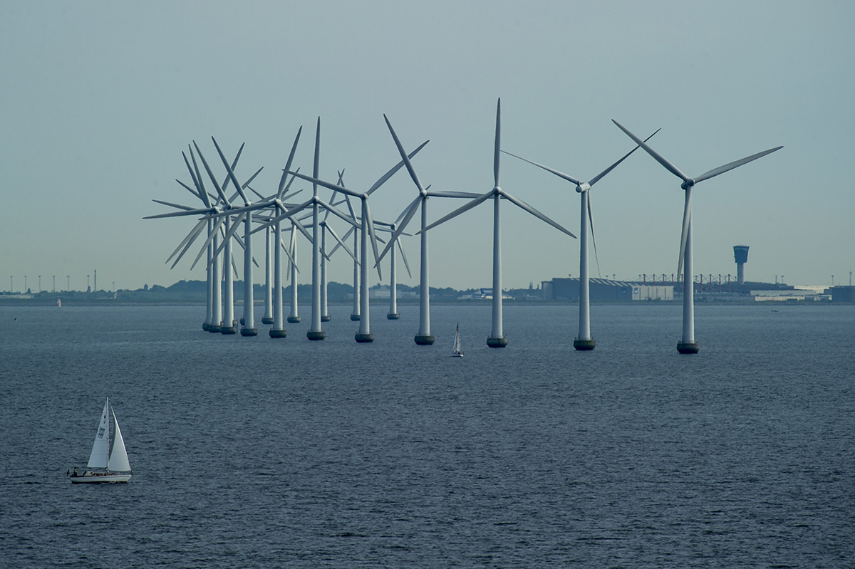 With the wind in their sails