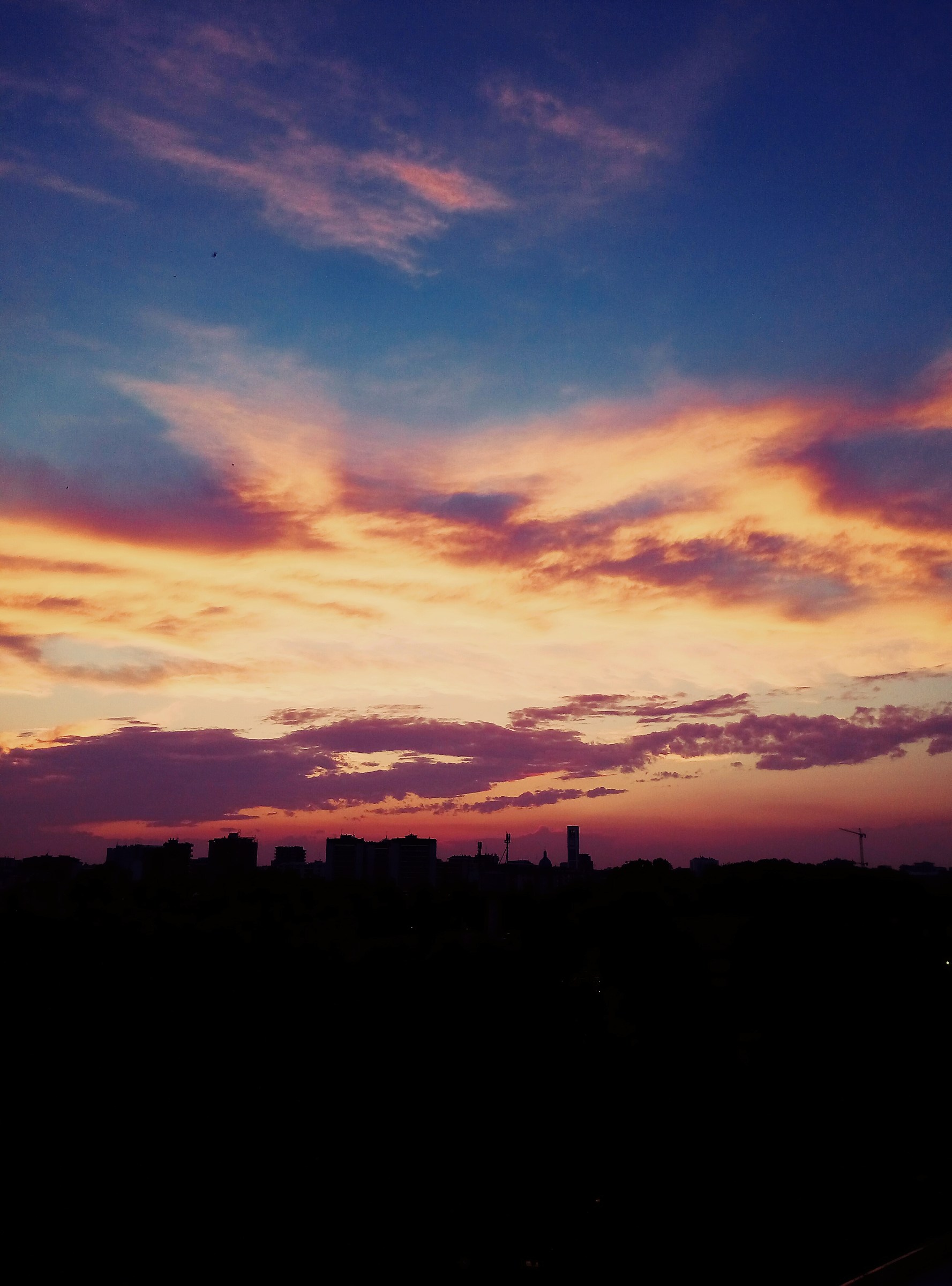 Anche il Bronx, ogni tanto, regala qualcosa di bello