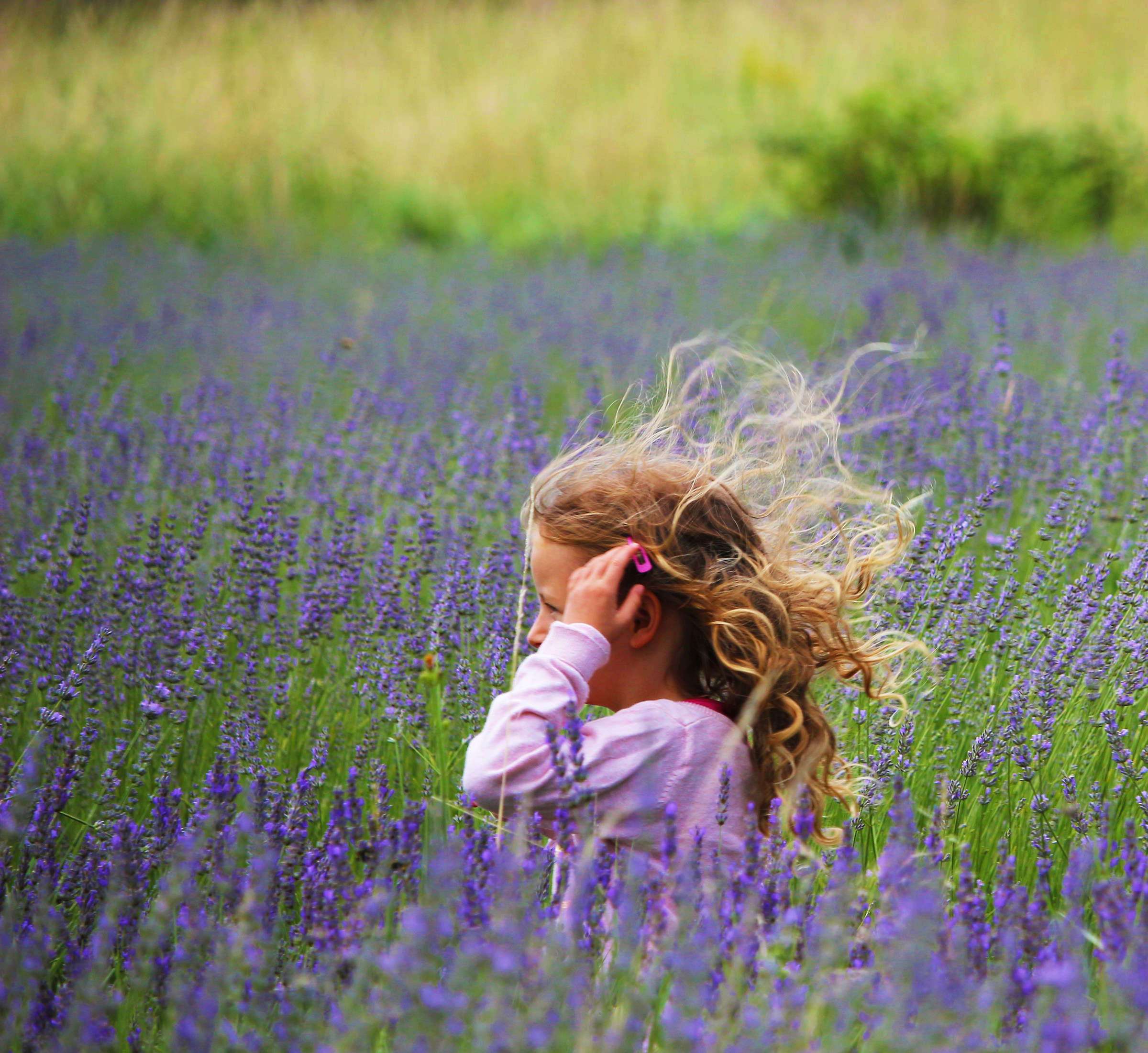 hair in the wind