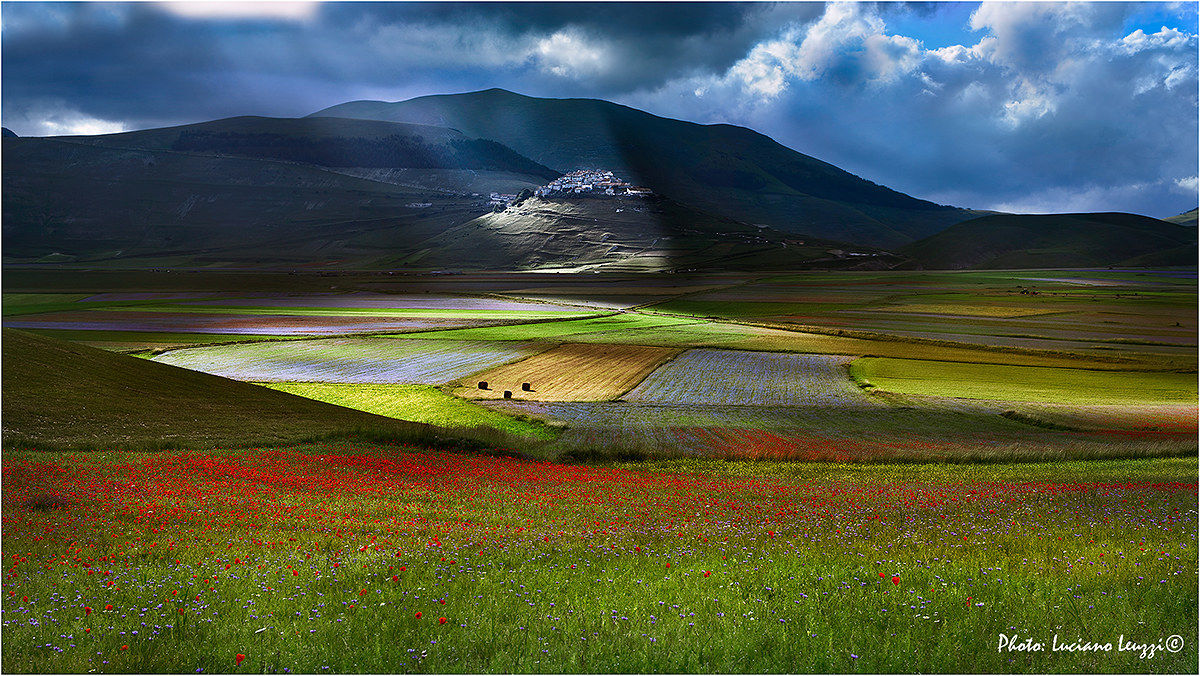 Colors of Castelluccio