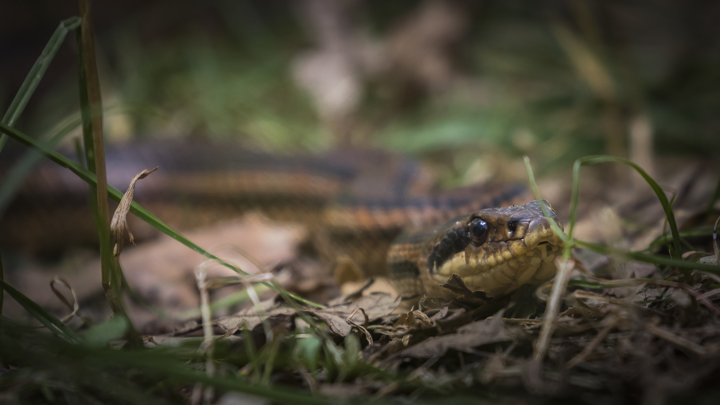 Cervone .... do not look .....