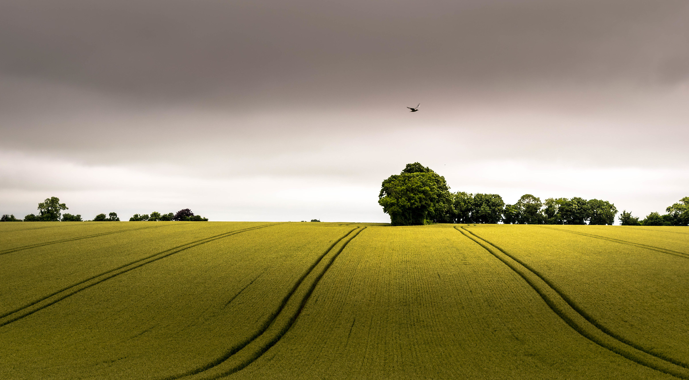 Tractor Tracks Carved in the English Countryside